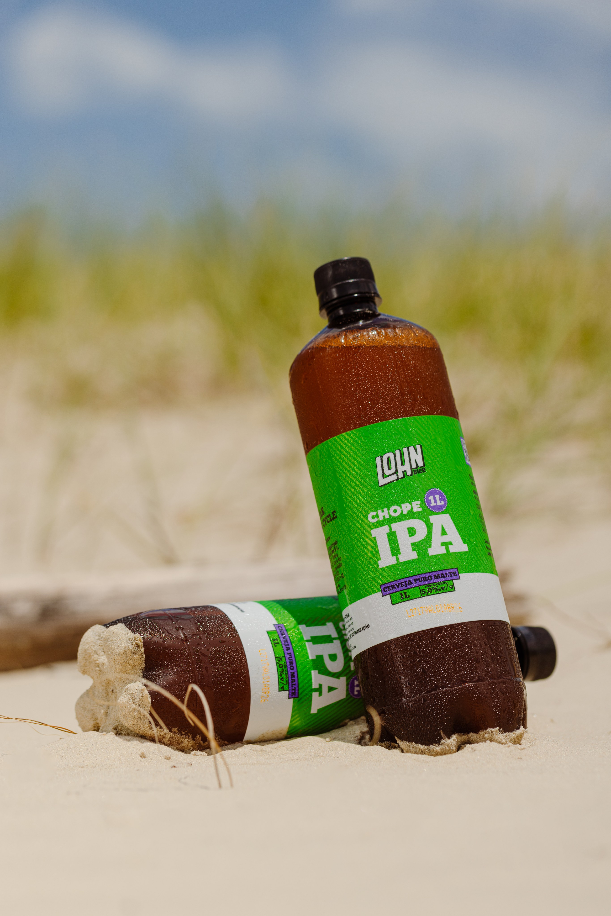 Lohnbier. ESTUDIO DOZE