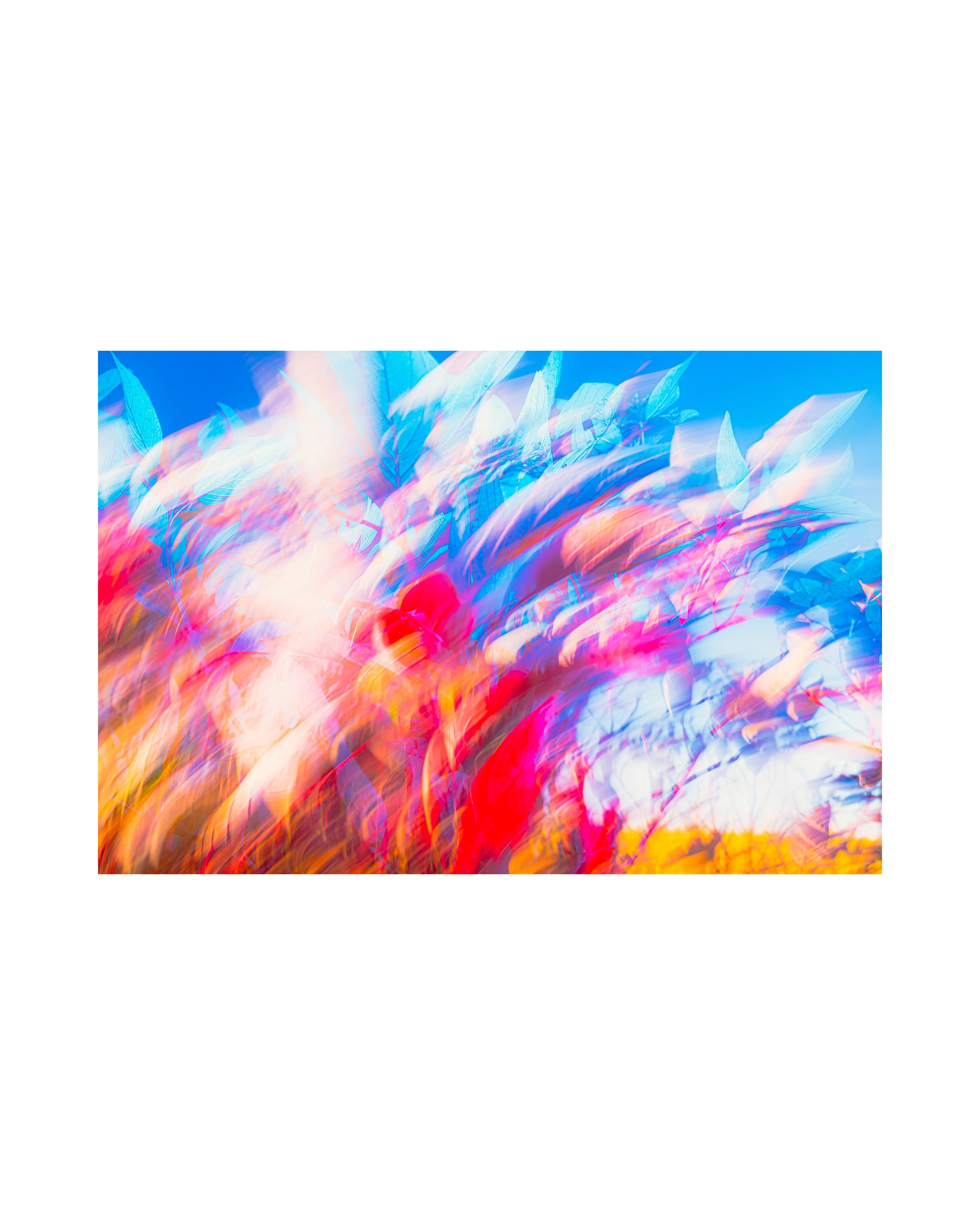 Nature from Exaggerated Worlds. Ekaterina Tsurkina-Appina Photography Canada