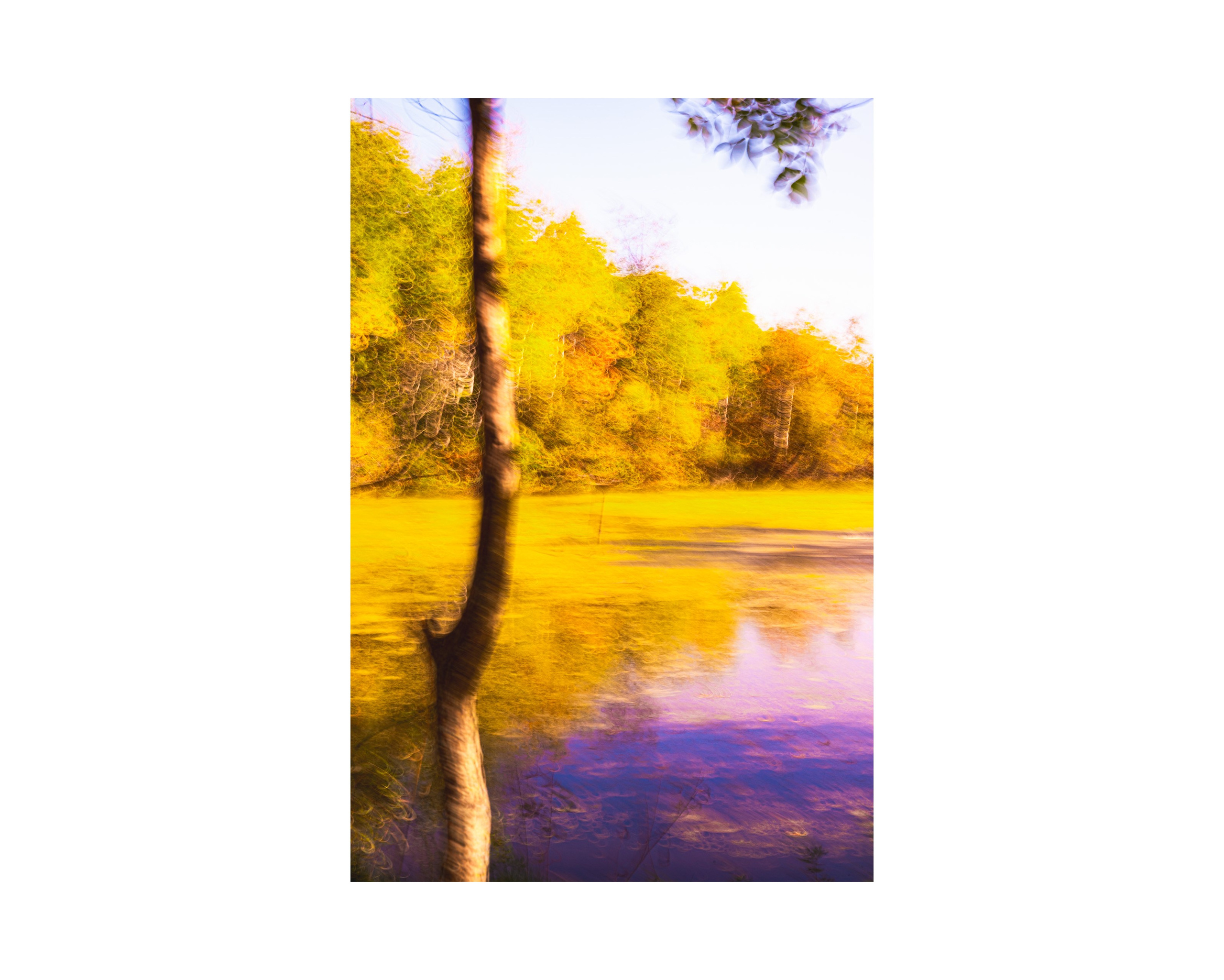 Nature from Exaggerated Worlds. Ekaterina Tsurkina-Appina Photography Canada