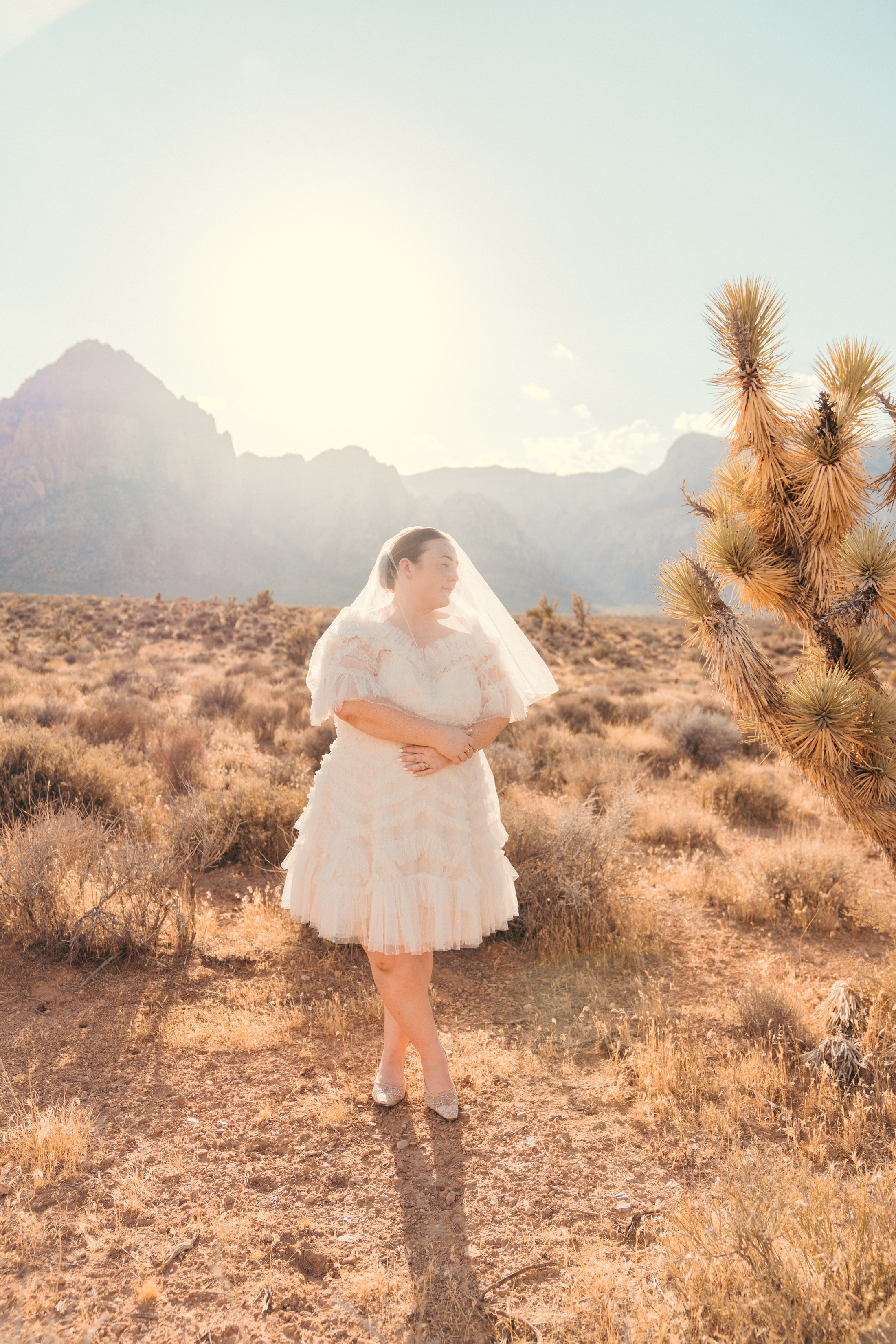 Cassie&Jimmy. Wedding & elopement photographer Viktoriya Kravtsov. Las Vegas