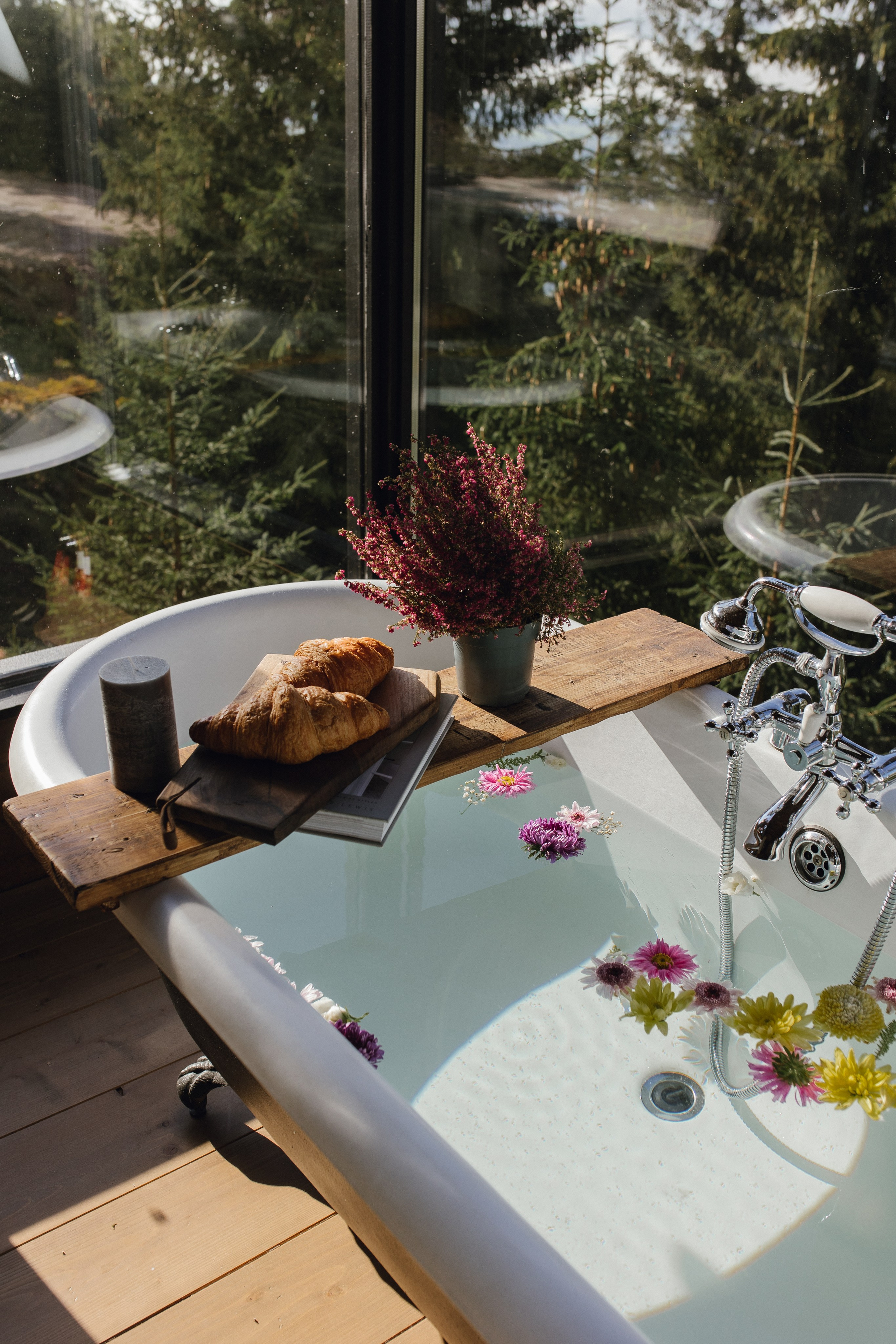 Flowers. Patricia Morenci — Mountain Adventures for the Wild at Heart