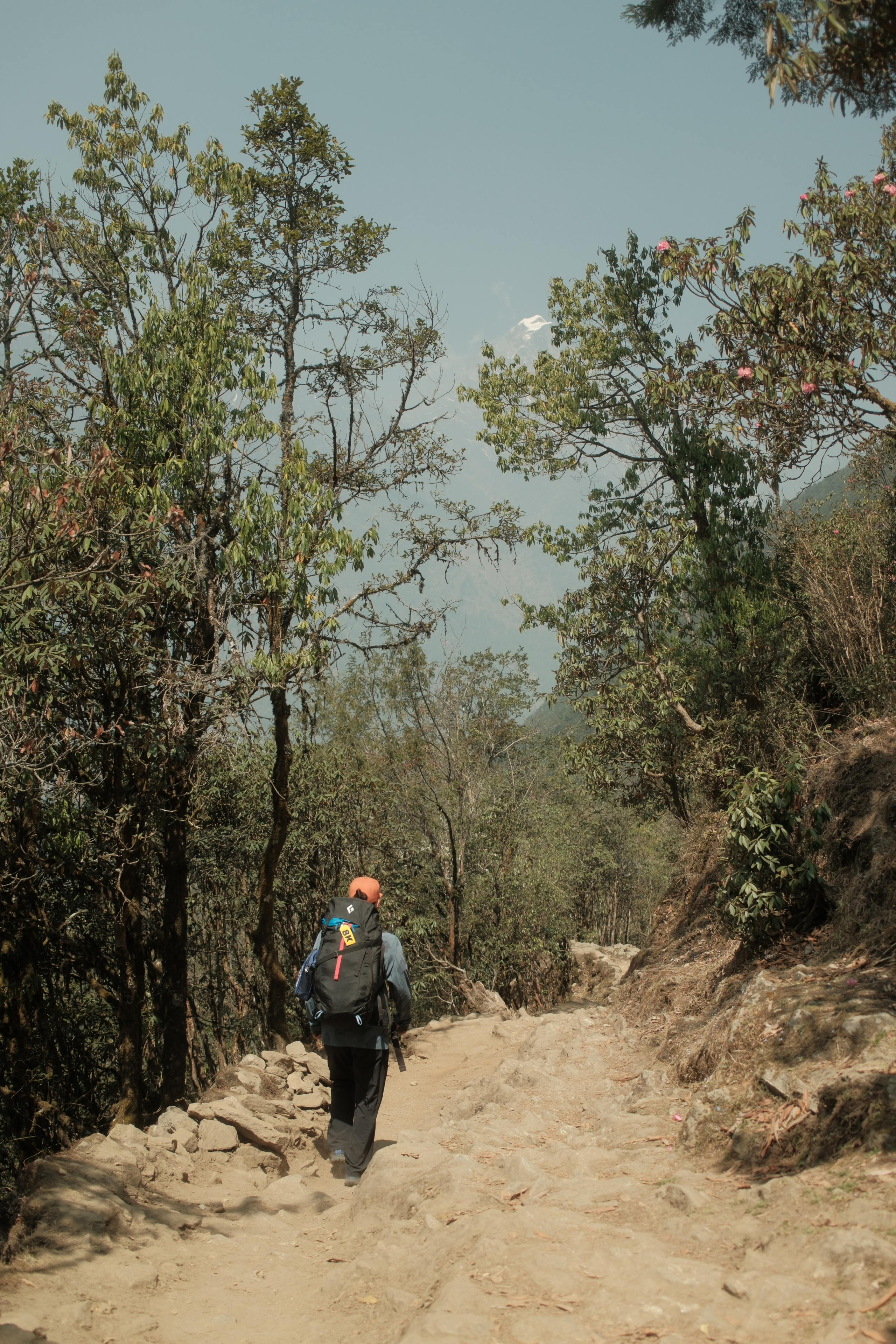 Nepal. Patricia Morenci — Mountain Adventures for the Wild at Heart