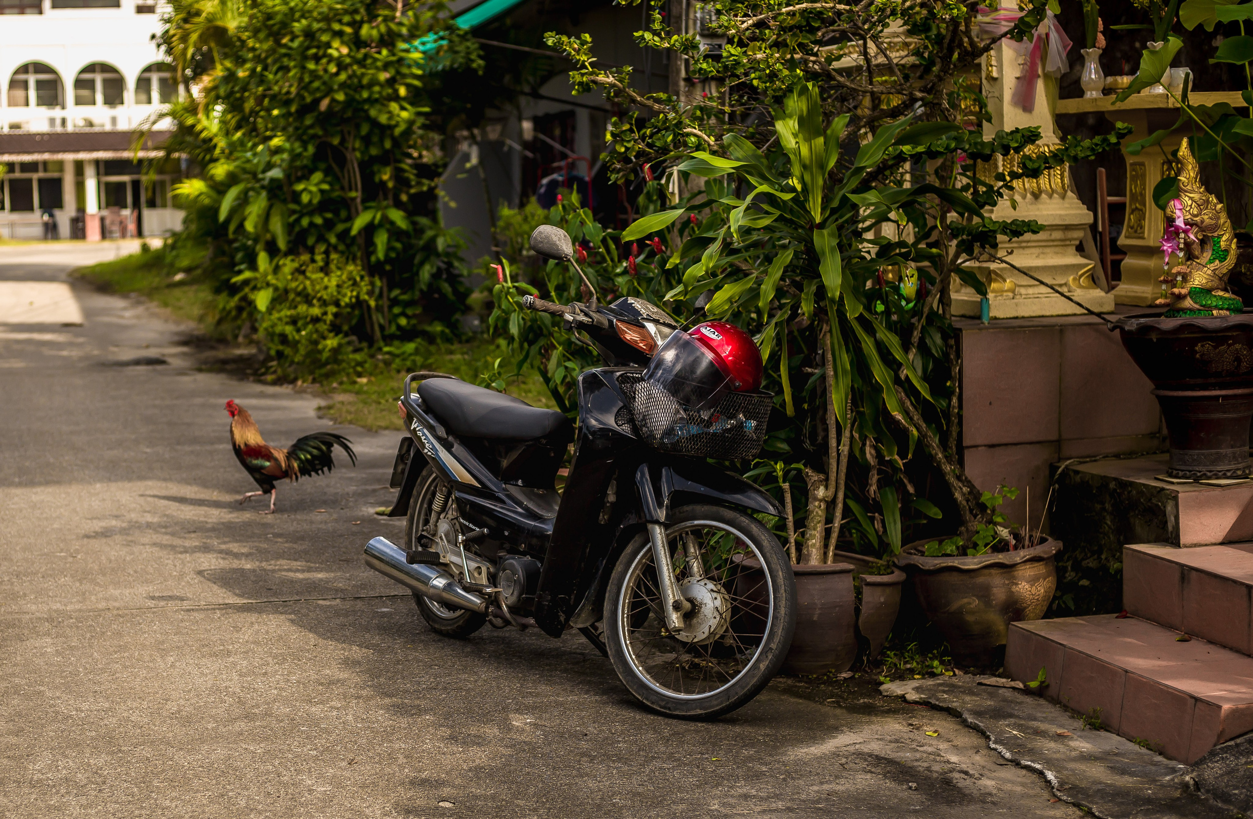 Thailand 2023, Samui. Art Photographer