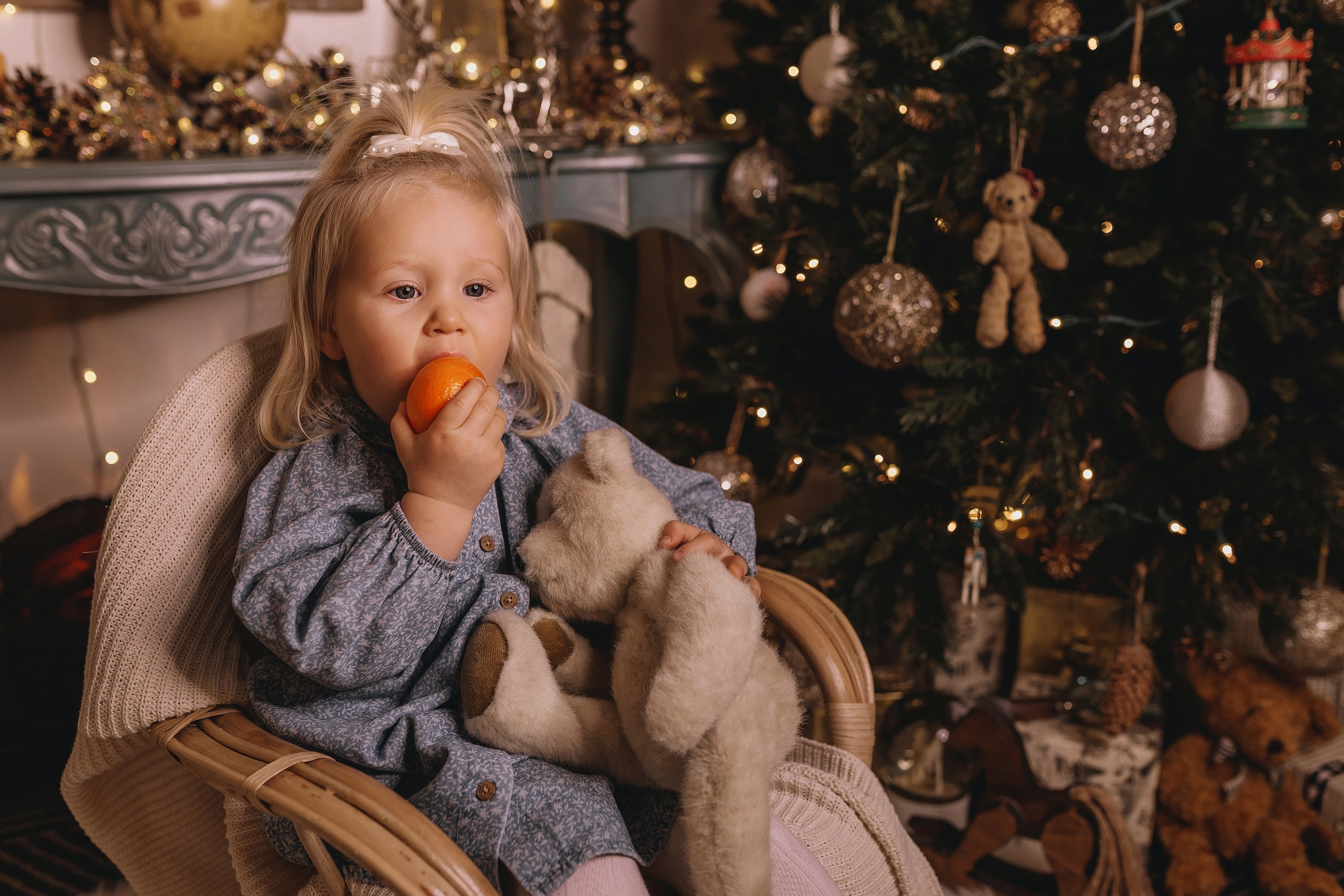 12.08.2025 Christmas Photoshoot. Wedding family event photographer in Chicago Nick Yushevich