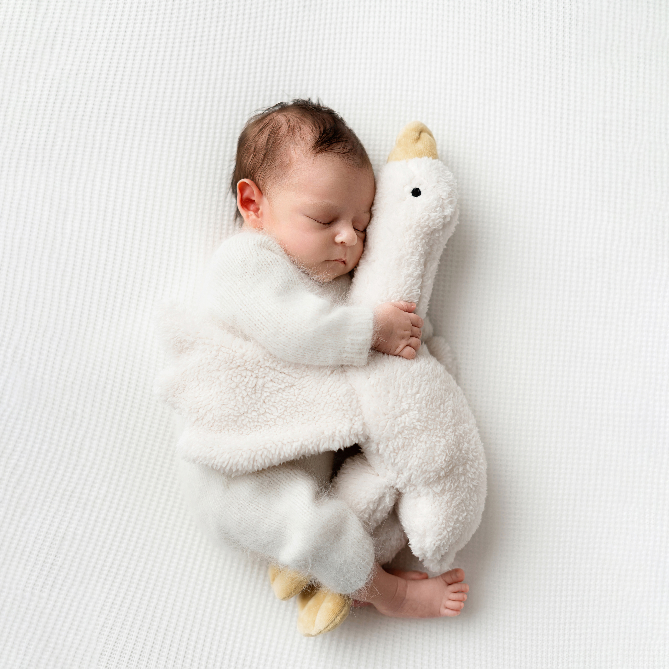 Fotografisanje novorođenčadi, beba, fotograf novorođenčeta u Beogradu