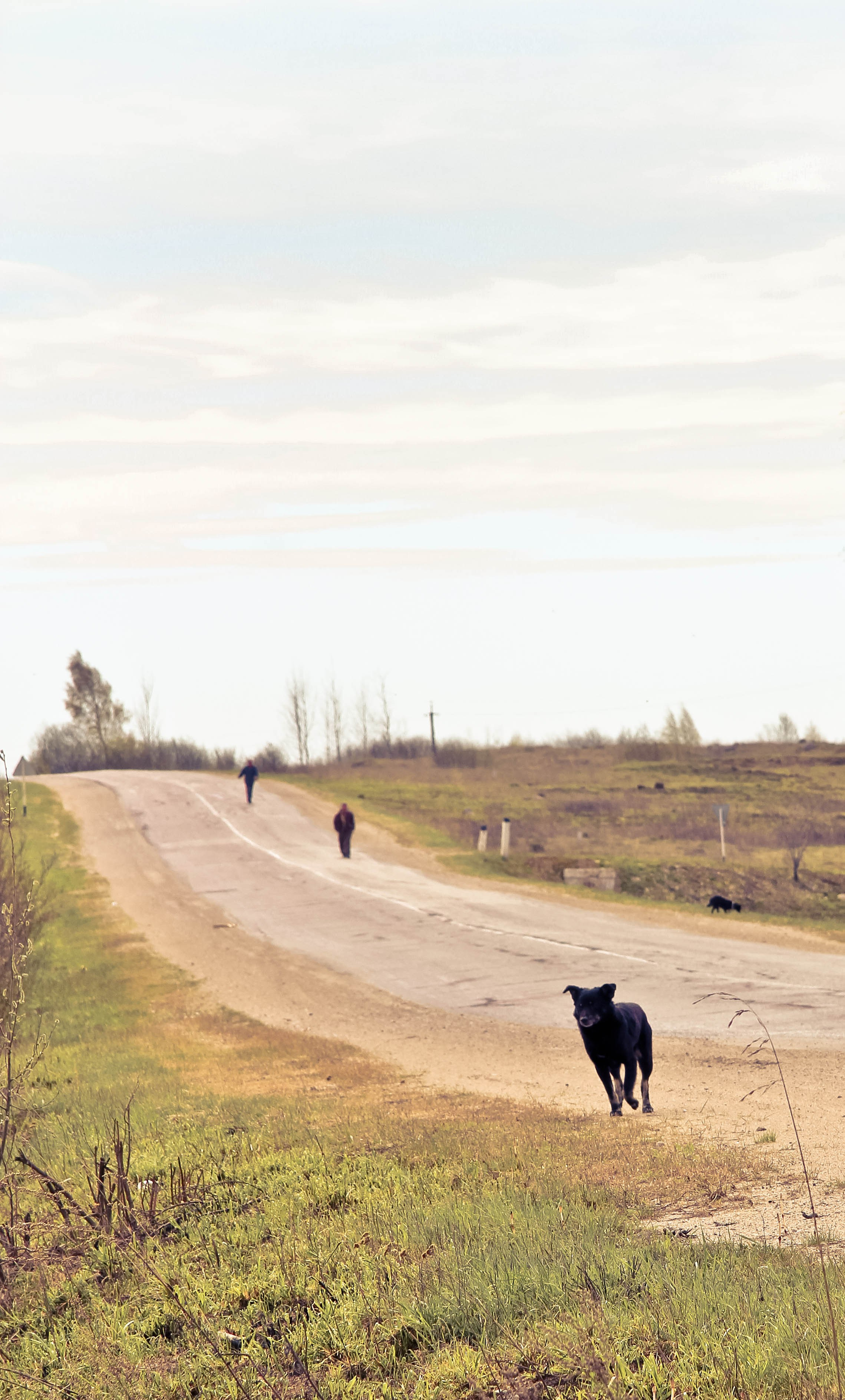 2012. Стрит-фотография, полная абсурда, идиотизма и красоты