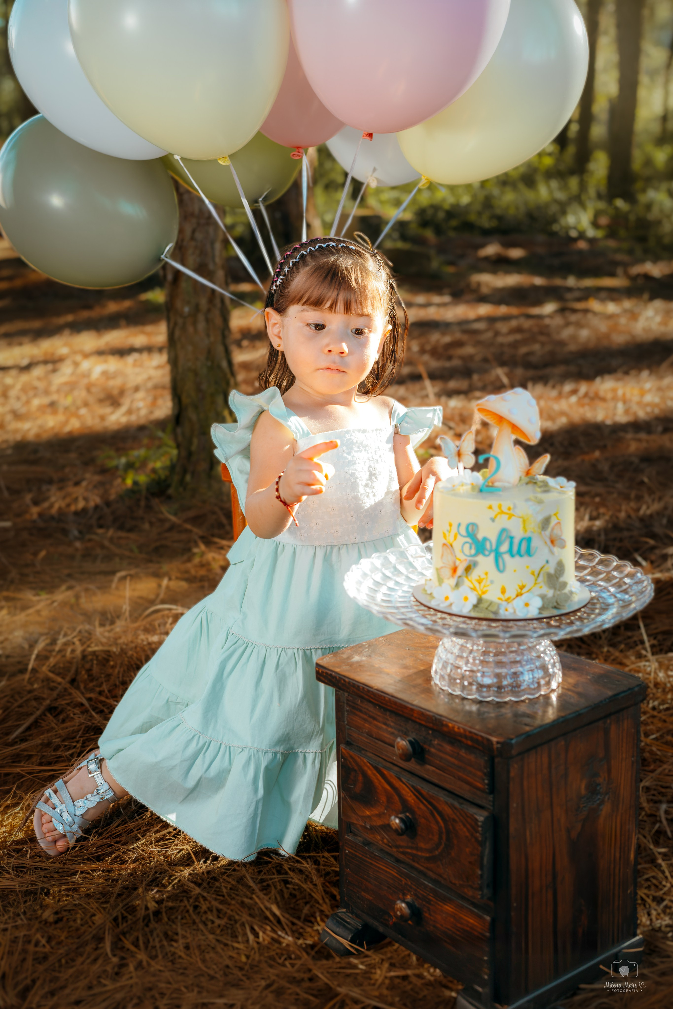 SESIÓN DE FOTOS DOS AÑOS. Milena Maro Fotografía: estudio profesional en Acacías, Meta. Retrato familiar, infantil, maternas, eventos y empresas