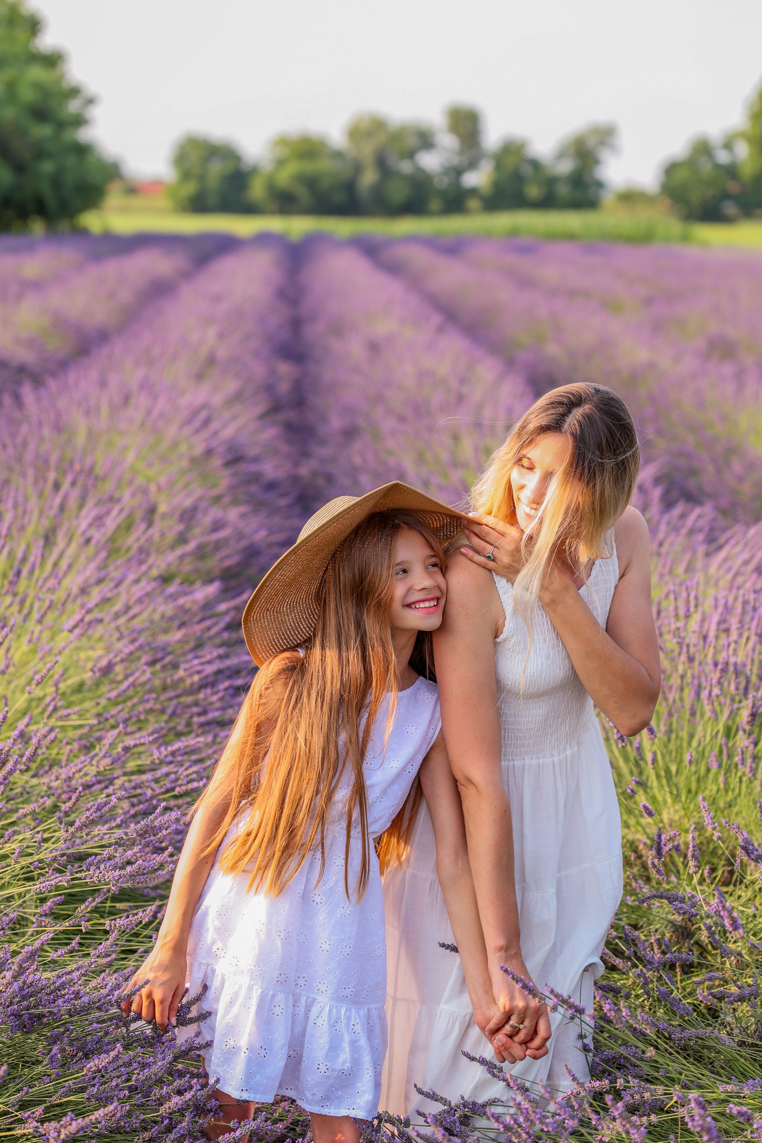 Lavanda. Fotografo Videomaker Drone Padova Venice Italy Elena Radchenko