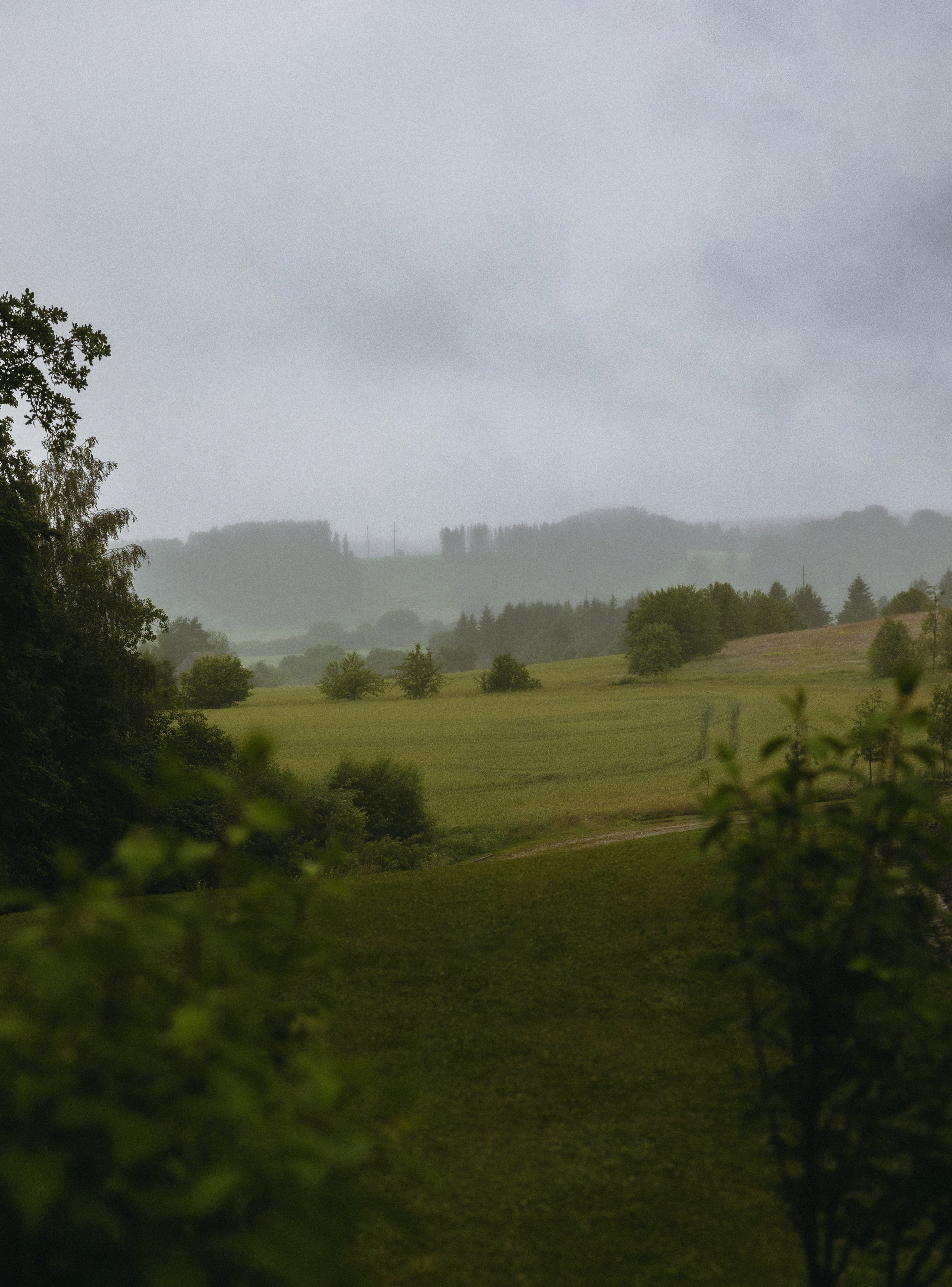 Justė ir Henrikas | Lietingos jaukios vestuvės Palangoje. Vestuvių ir šeimų fotografė Lena Bondarenko / belove photo
