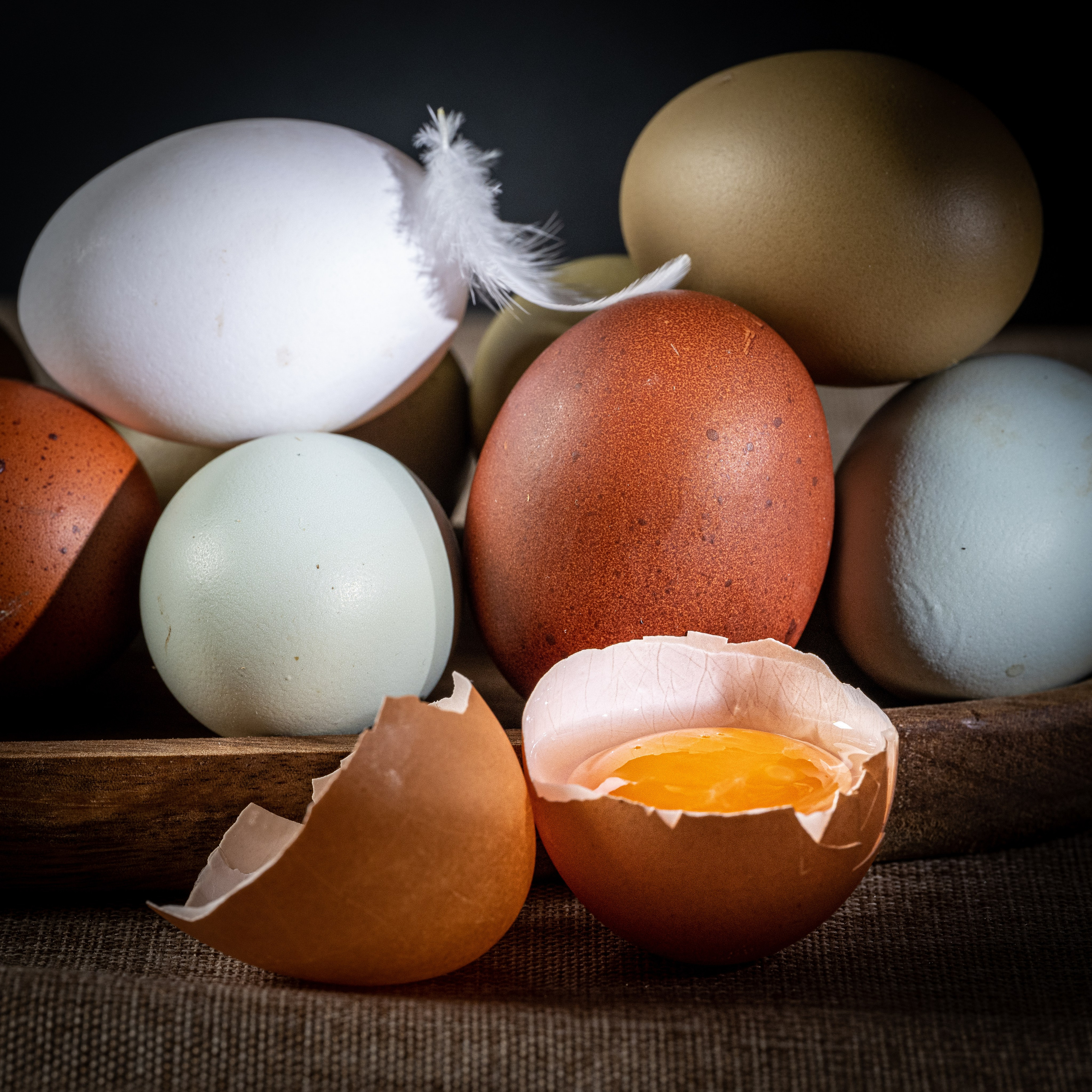 L’uovo. “Gianmaria Coscia fotografo per passione”