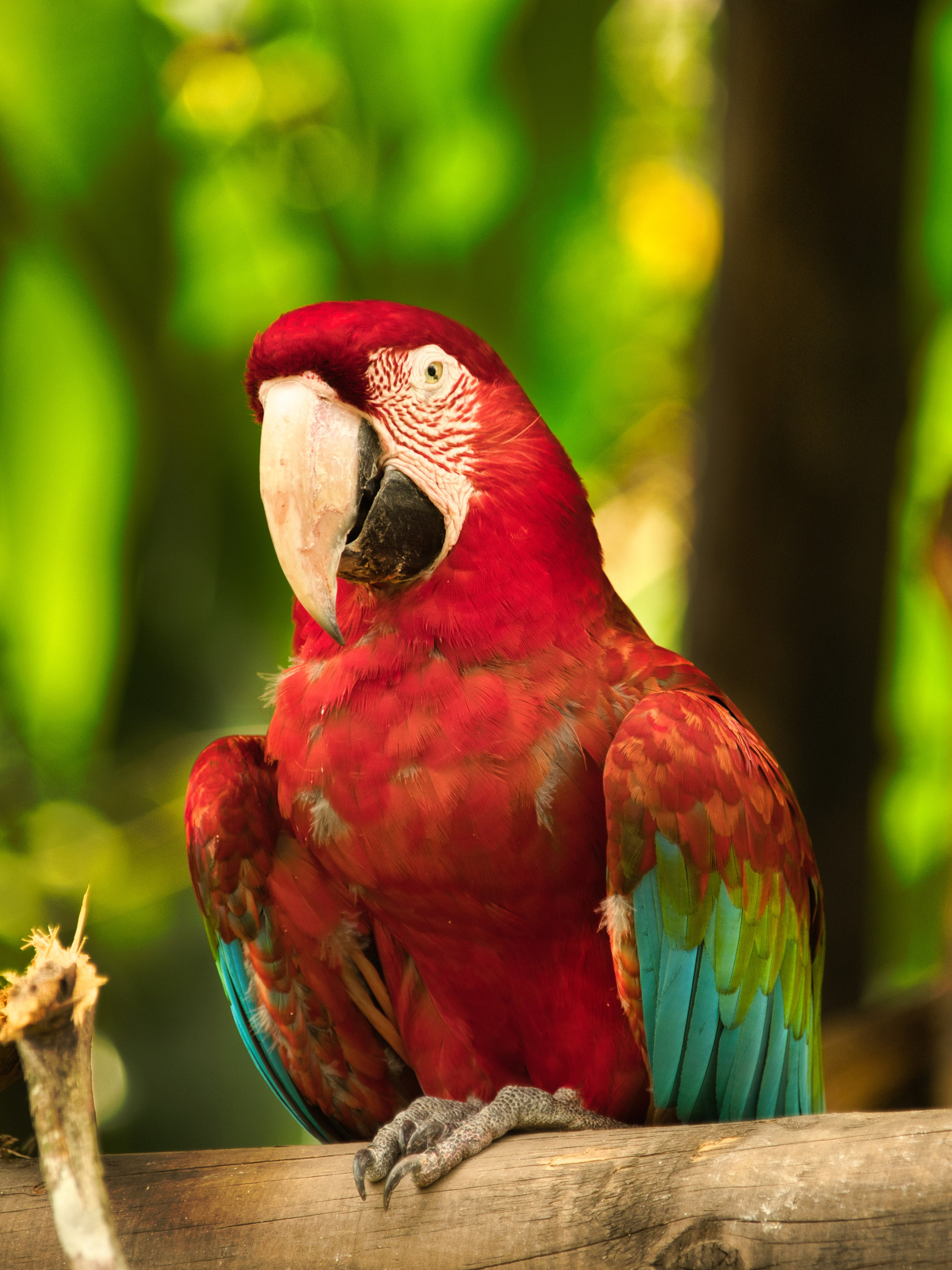 Fotógrafo. Fotógrafo de bodas, familiar, niños y modelos en Madrid, Julio César Bustamante