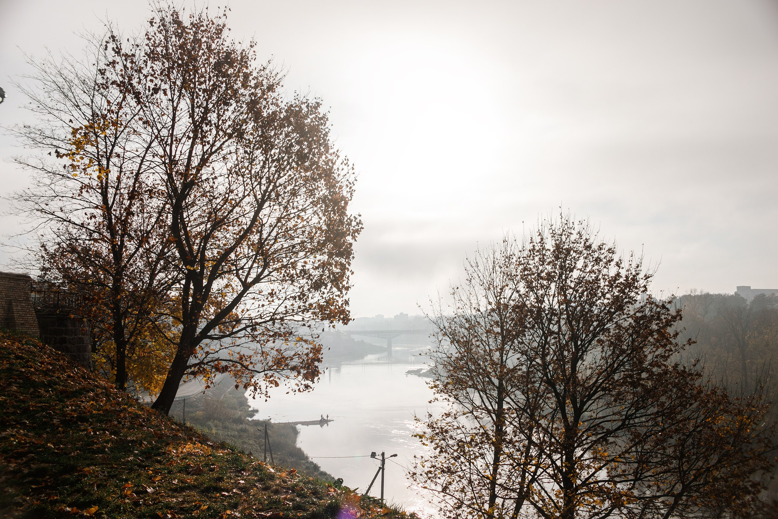 Frisbee and dog puller championship | autumn. Kaja | fotograf we Wrocławiu | ludzie i psy