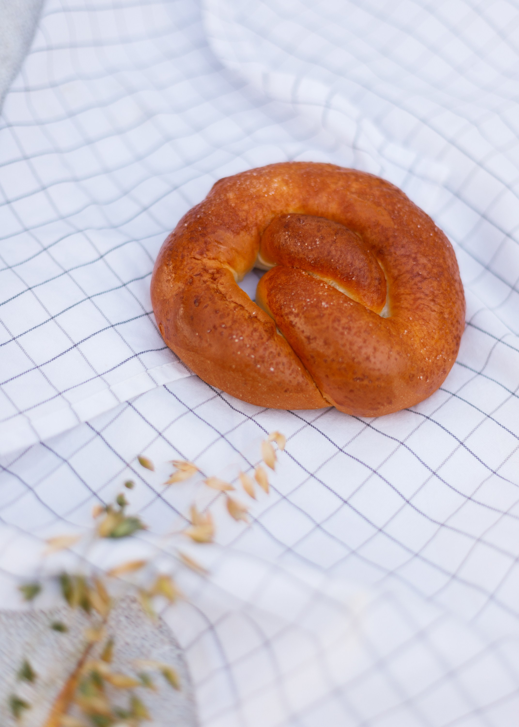 Katya | tenderness in the field. Kaja | fotograf psów we Wrocławiu