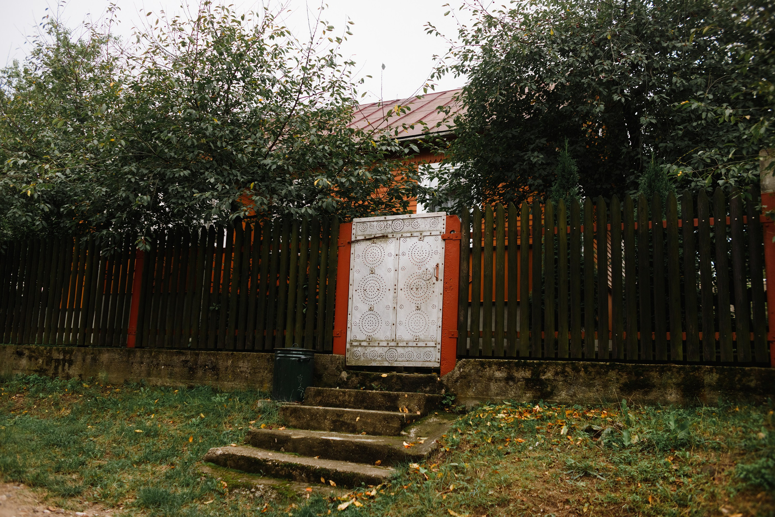 Grodno. Kaja | fotograf we Wrocławiu | ludzie i psy