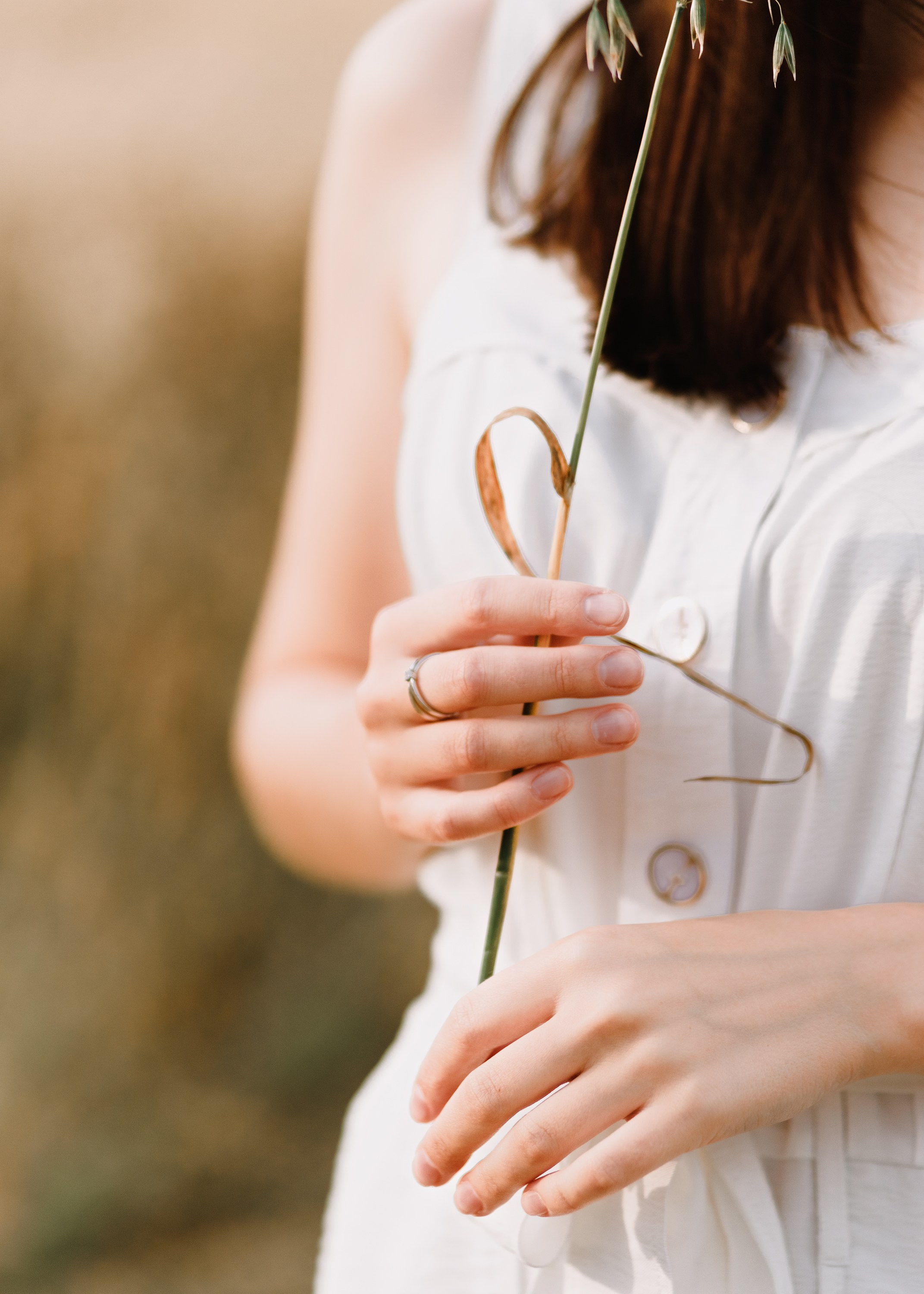 Katya | tenderness in the field. Kaja | fotograf psów we Wrocławiu