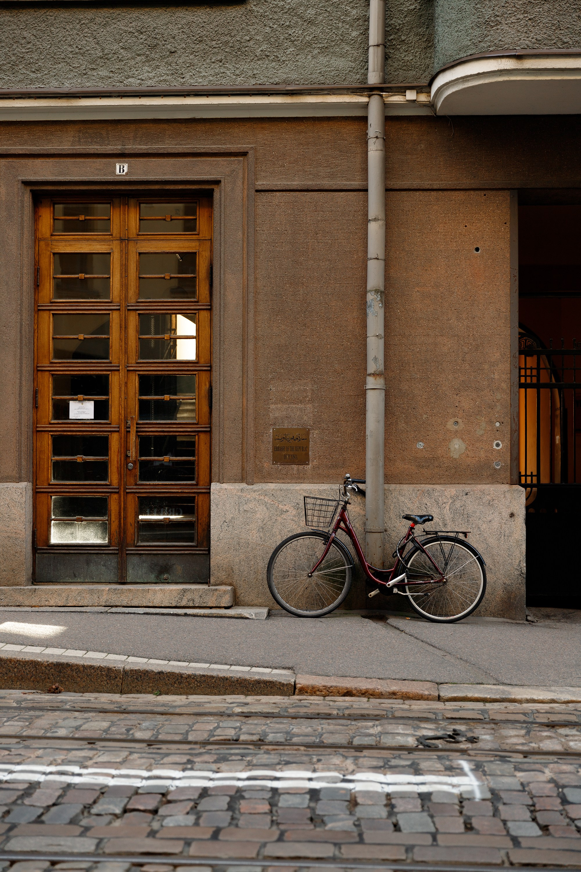 Helsinki. Kaja | fotograf psów we Wrocławiu