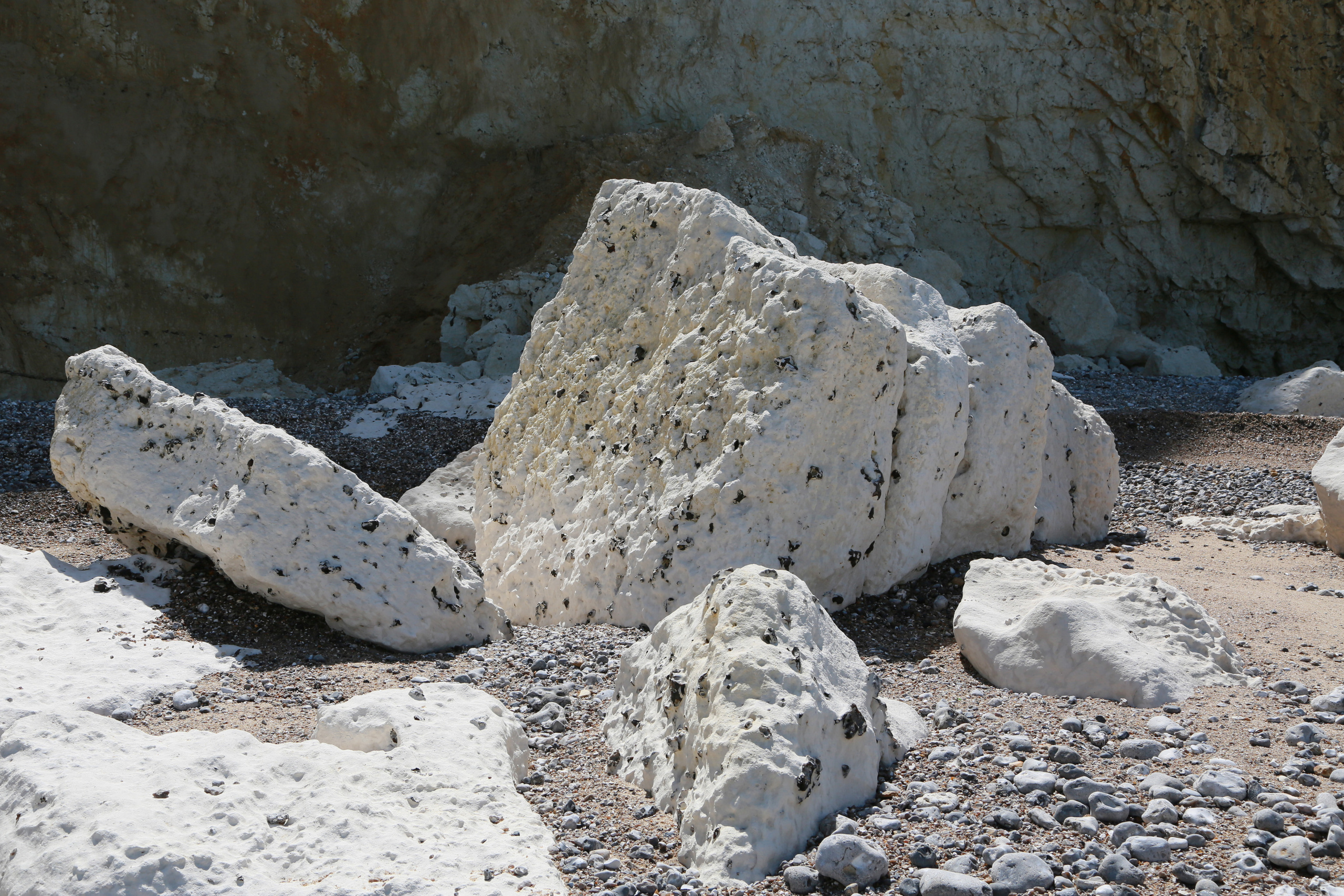 NATURE MORTE et VIVANTE. Natalia Bogdanovska. Films et photographie corporate en France