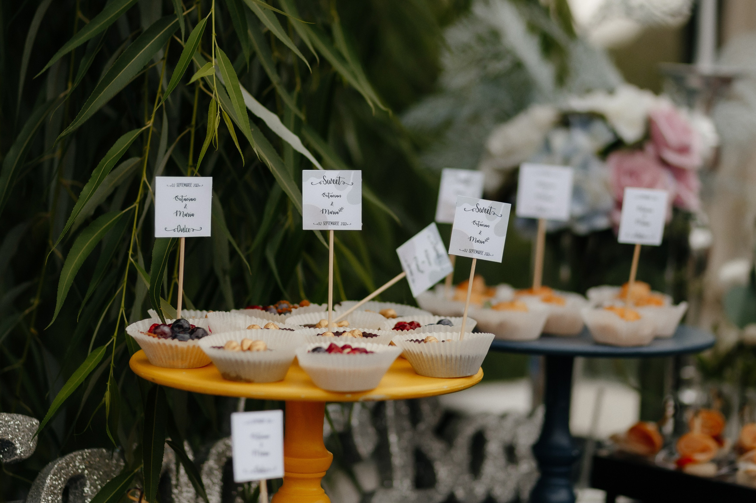 Wedding. Fulga Photographer