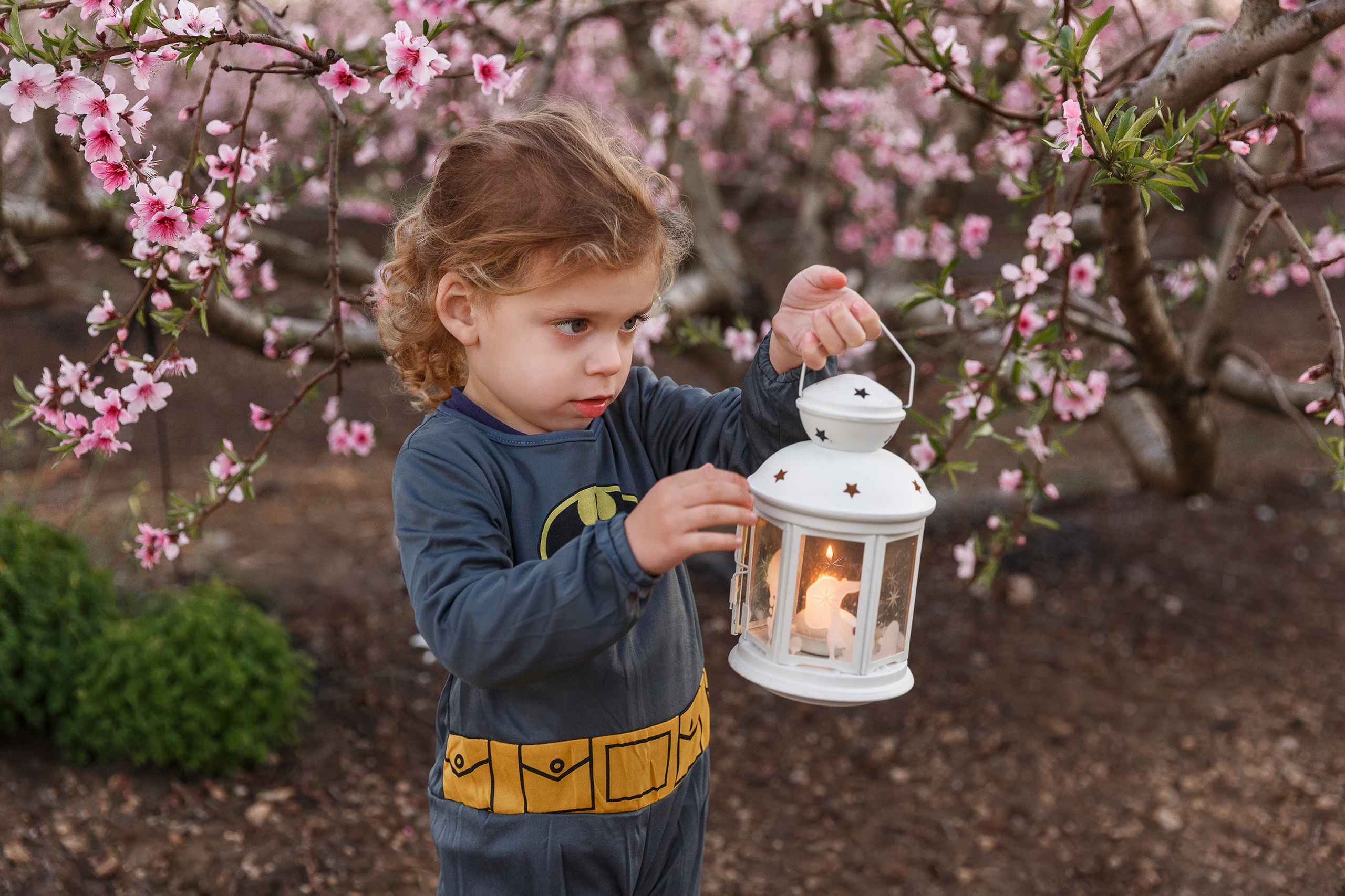 צילומי ילדים. צלמת הריון וניובורן