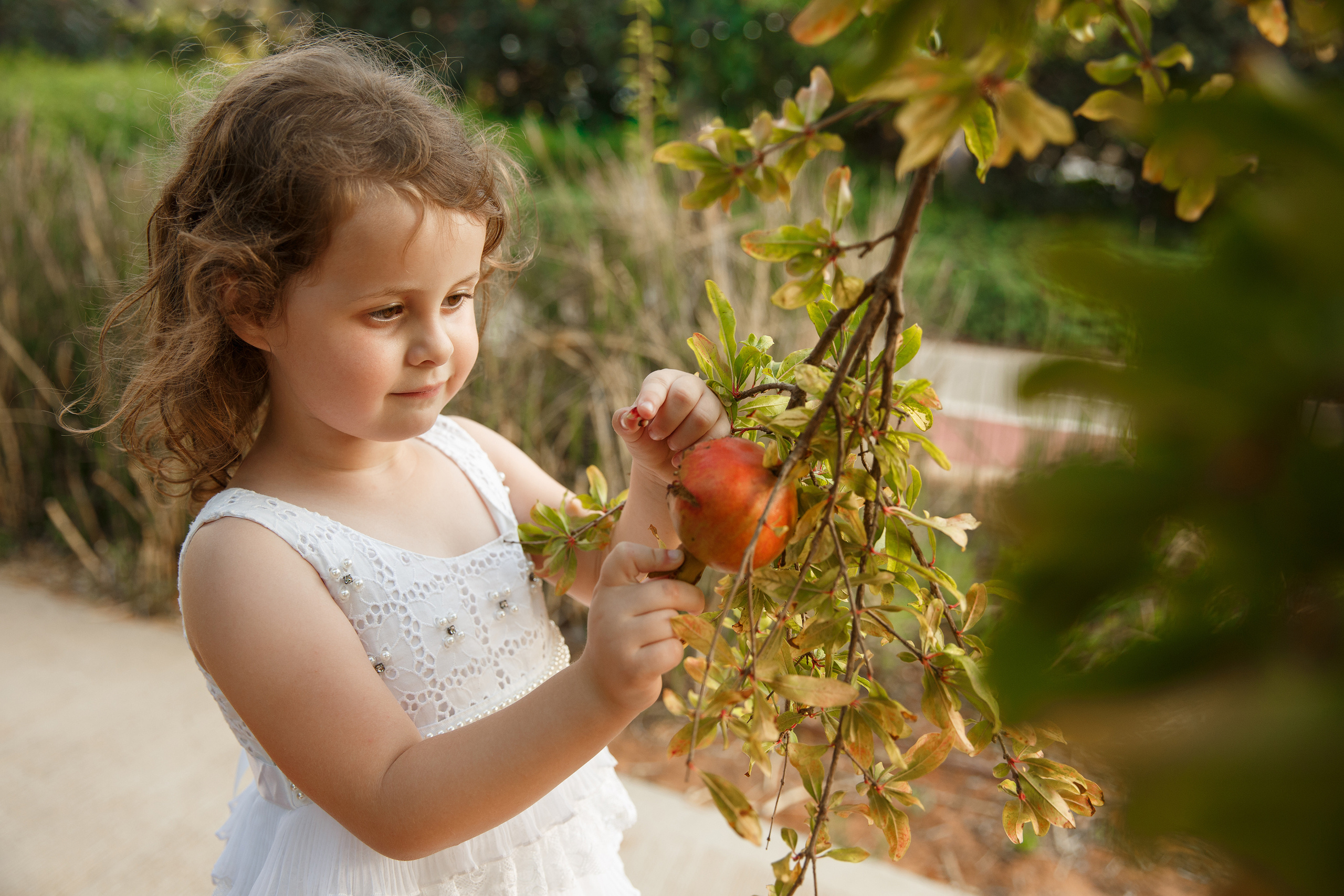 צילומי ילדים. צלמת הריון וניובורן