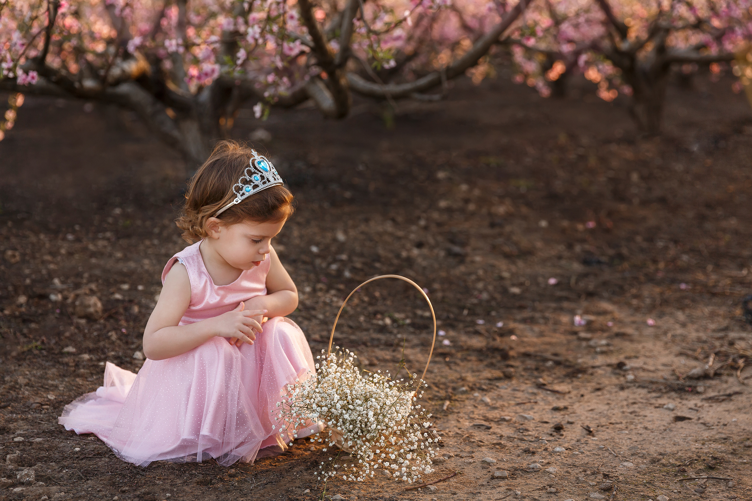 צילומי ילדים. צלמת הריון וניובורן