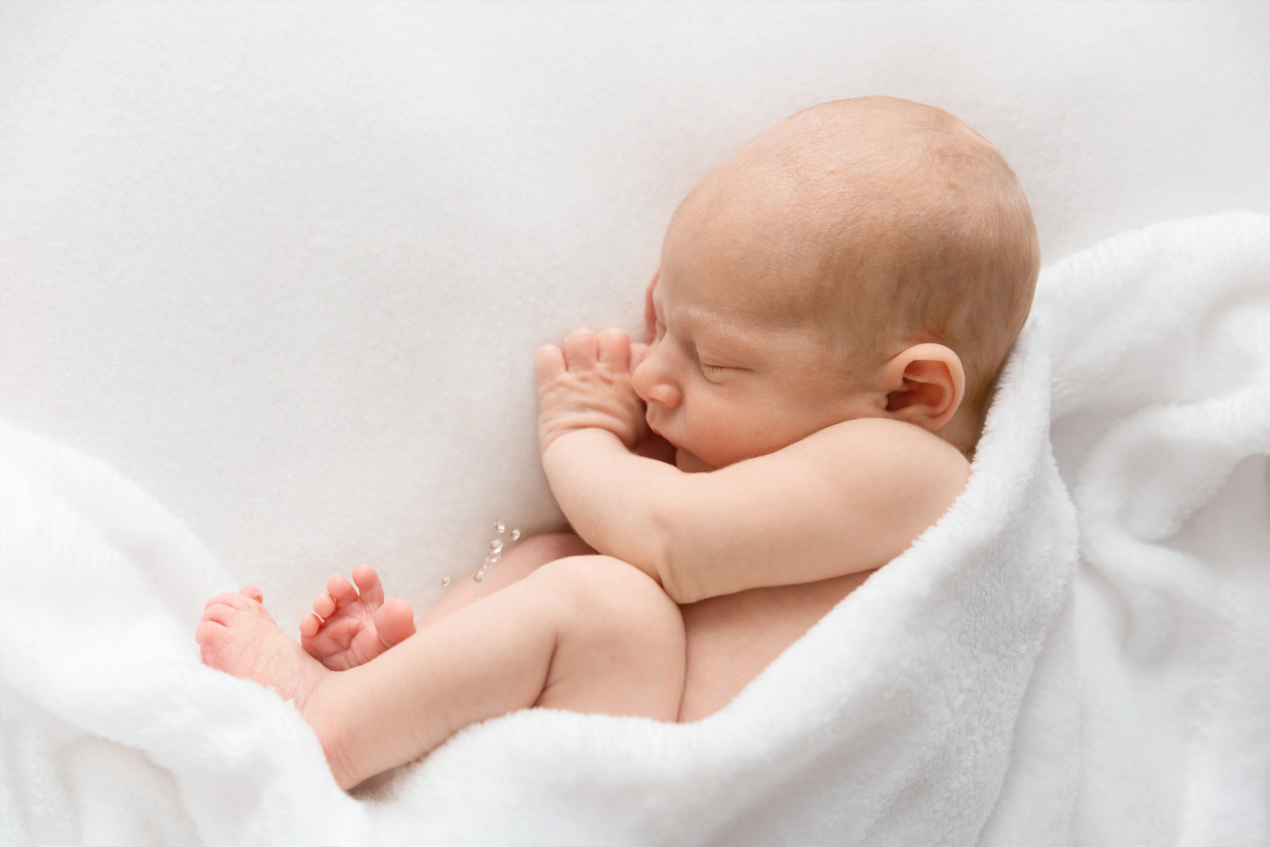 Simple ניובורן. צלמת הריון וניובורן