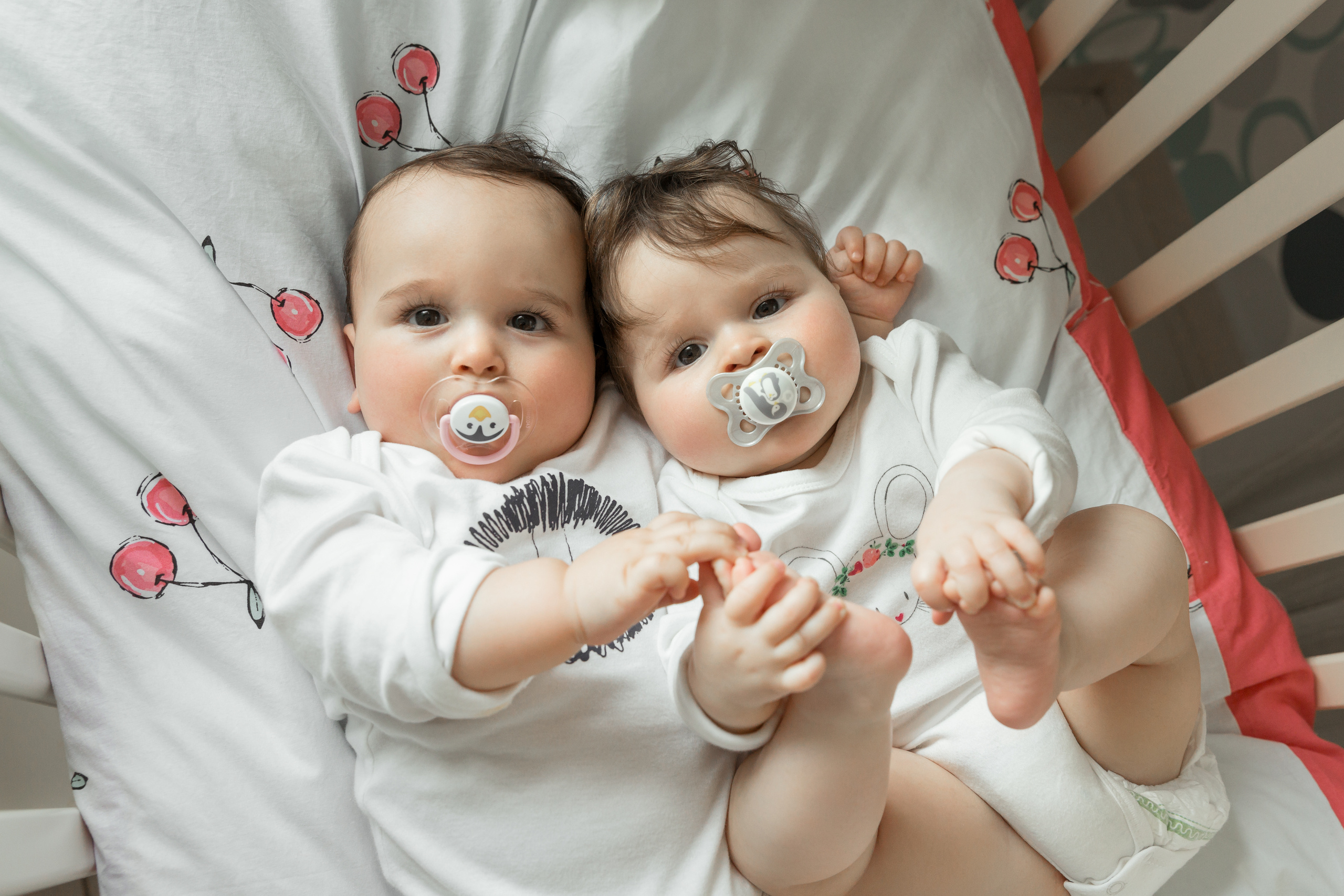 צילומי משפחה לייף סטייל. צלמת הריון וניובורן