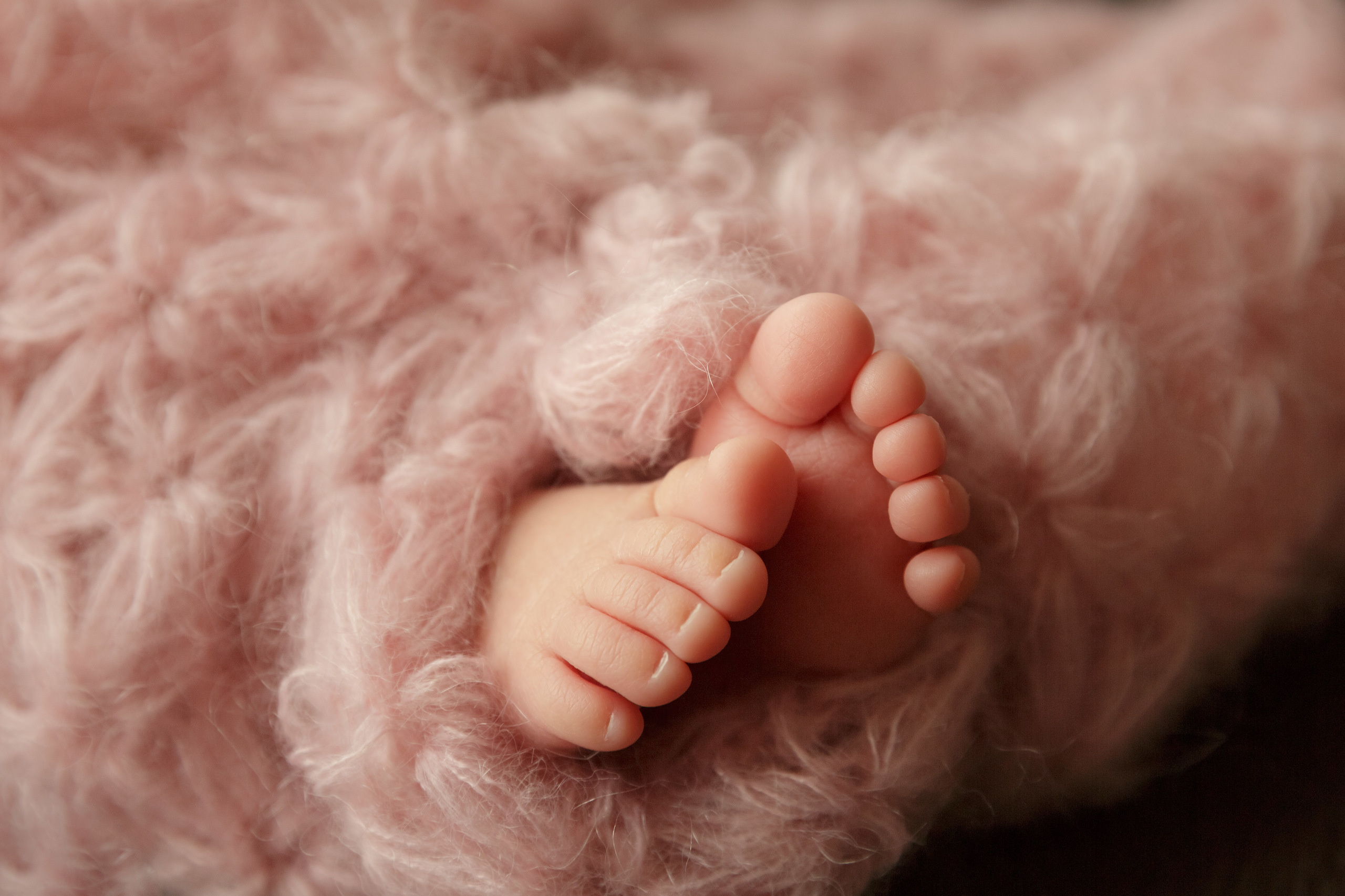 צלמת הריון וניובורן