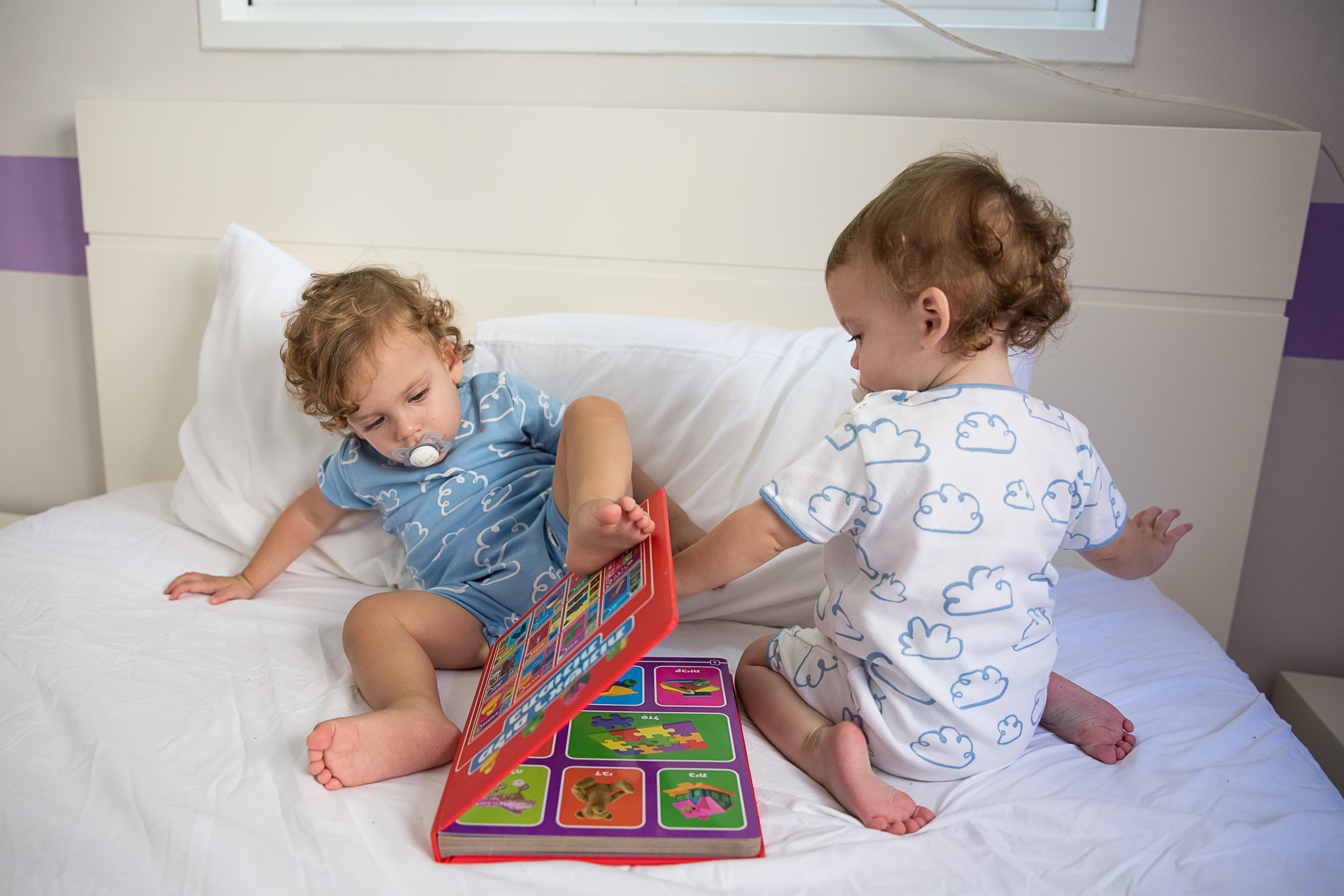 צילומי משפחה לייף סטייל. צלמת הריון וניובורן