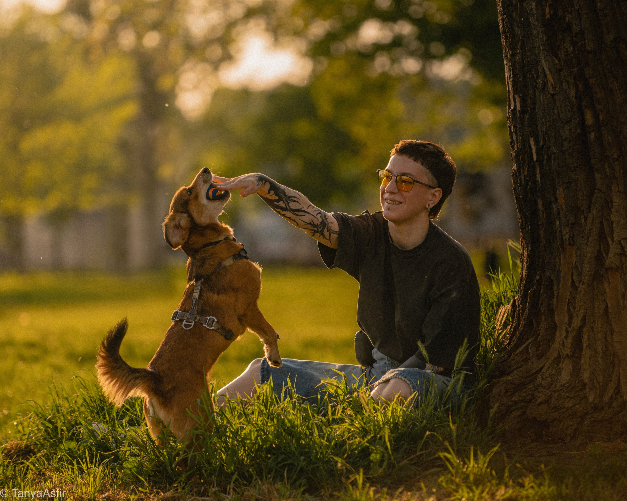 Outdoor Pet Photography by Tanya Asfir, Belgrade. Tanya Asfir — Pet & Animal Photographer | Belgrade, Serbia