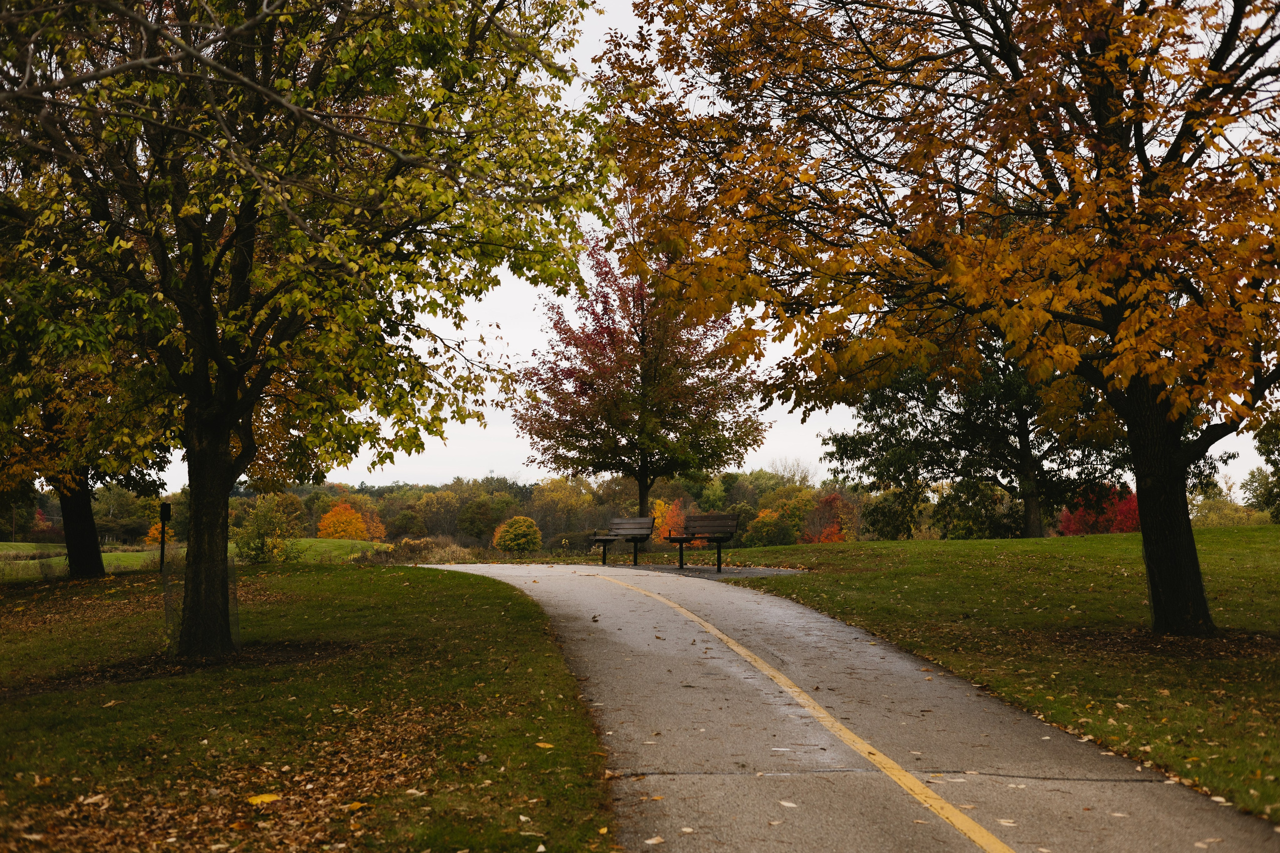 Independence Grove Park Proposal — Illinois Photographer — Margarita Stepanenko