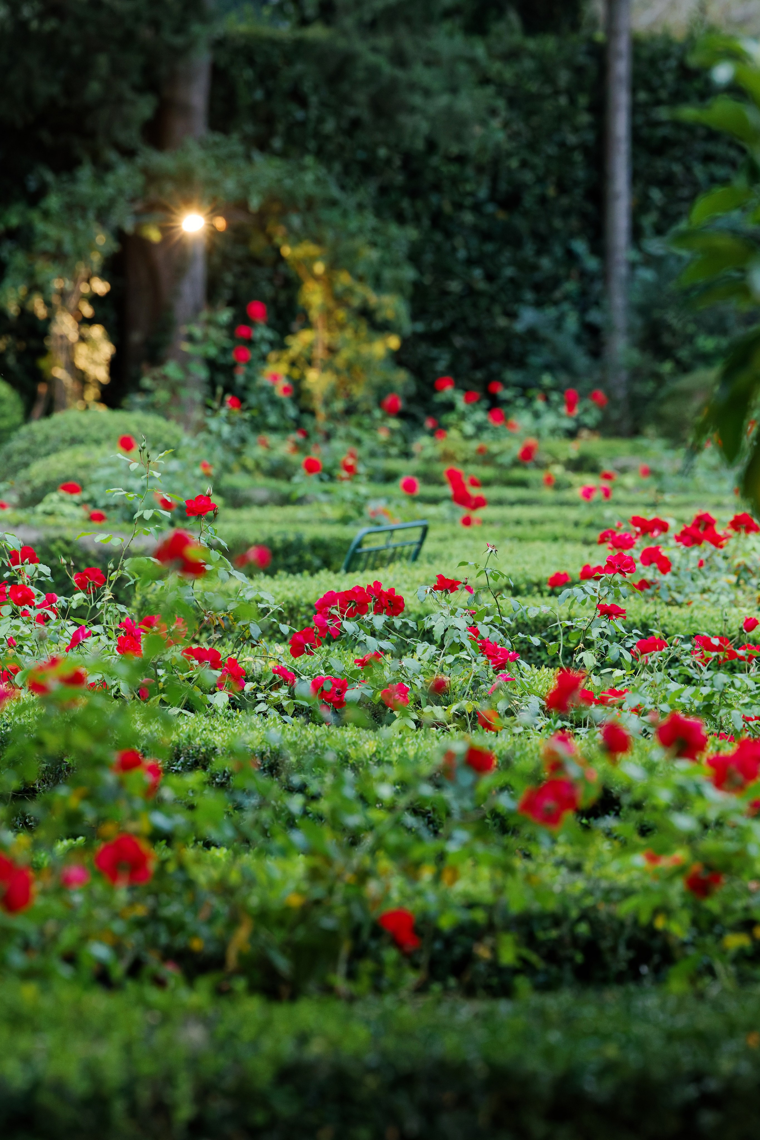 Wedding at Villa Merlo Nero, Florence
