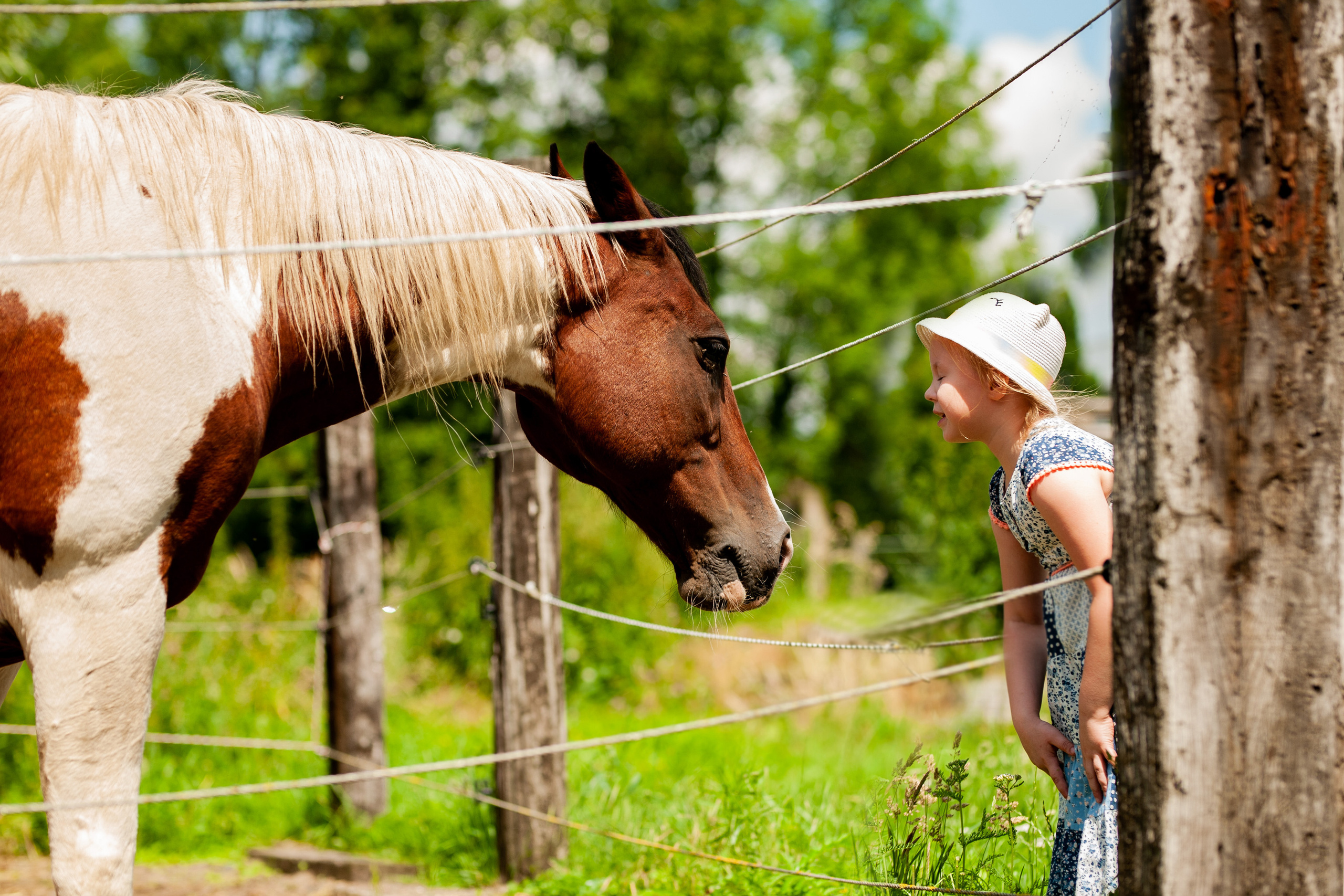Kinderfotos. Fotografin aus NRW