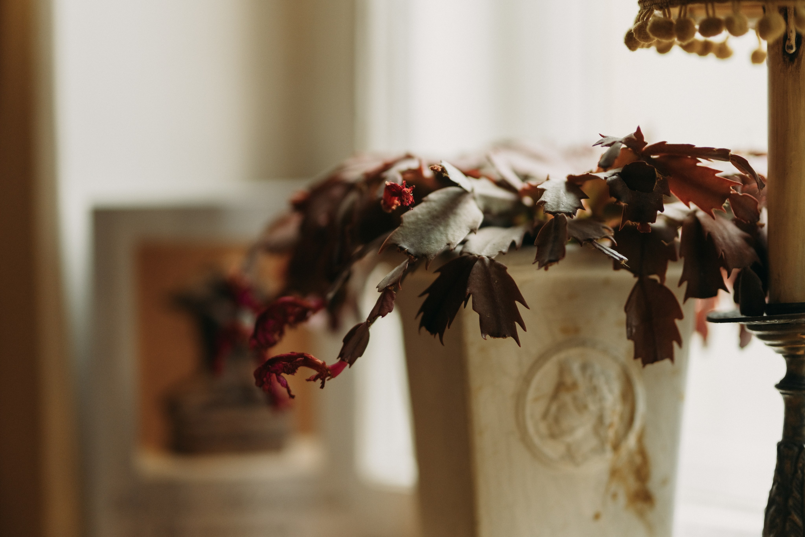 Woman phoshoot. Wedding and potrait photographer in Helsinki Vickan O