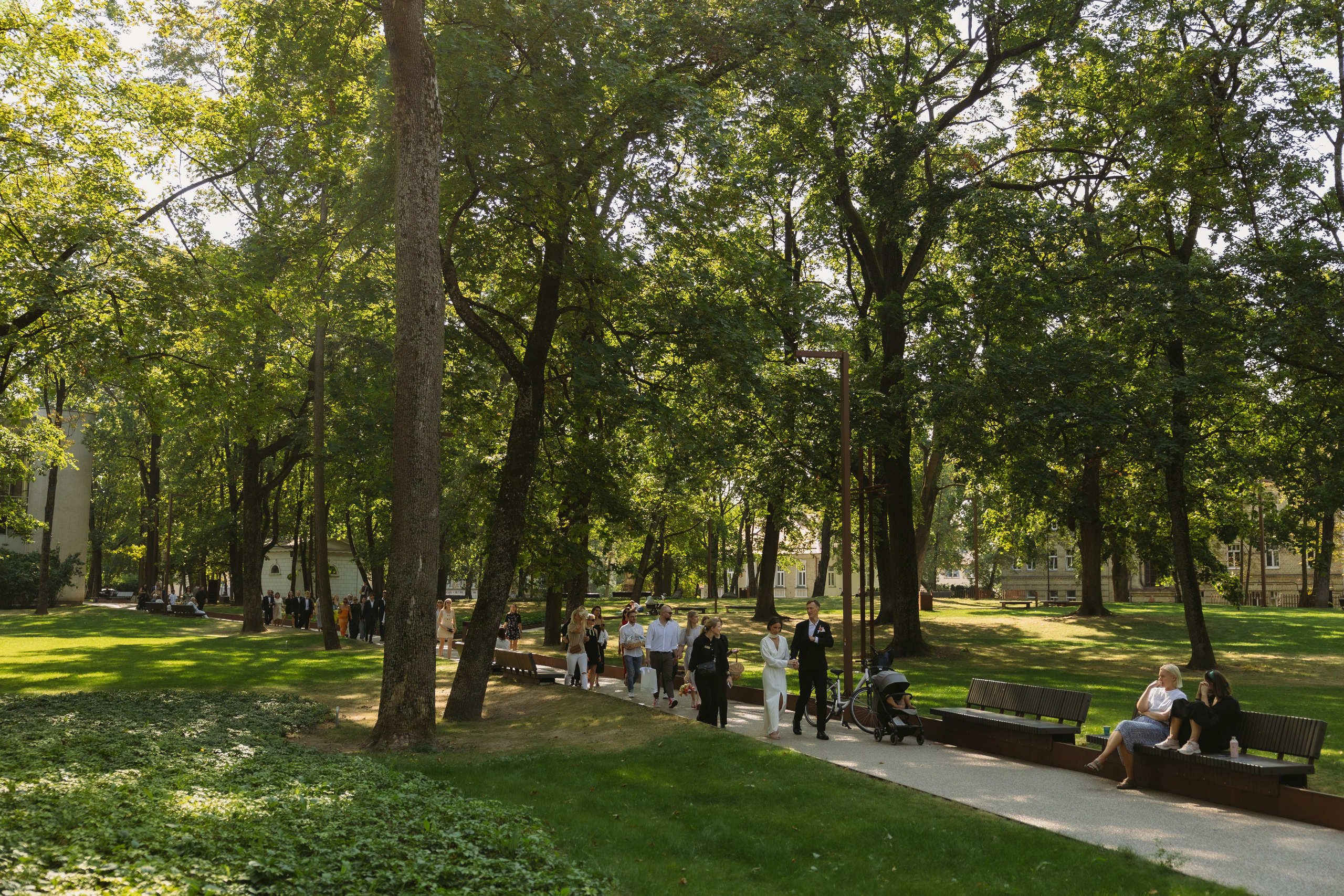 Miglė ir Mindaugas | 2024 | MIESTO VESTUVĖS. Vestuvių ir šeimų fotografė Lena Bondarenko / belove photo