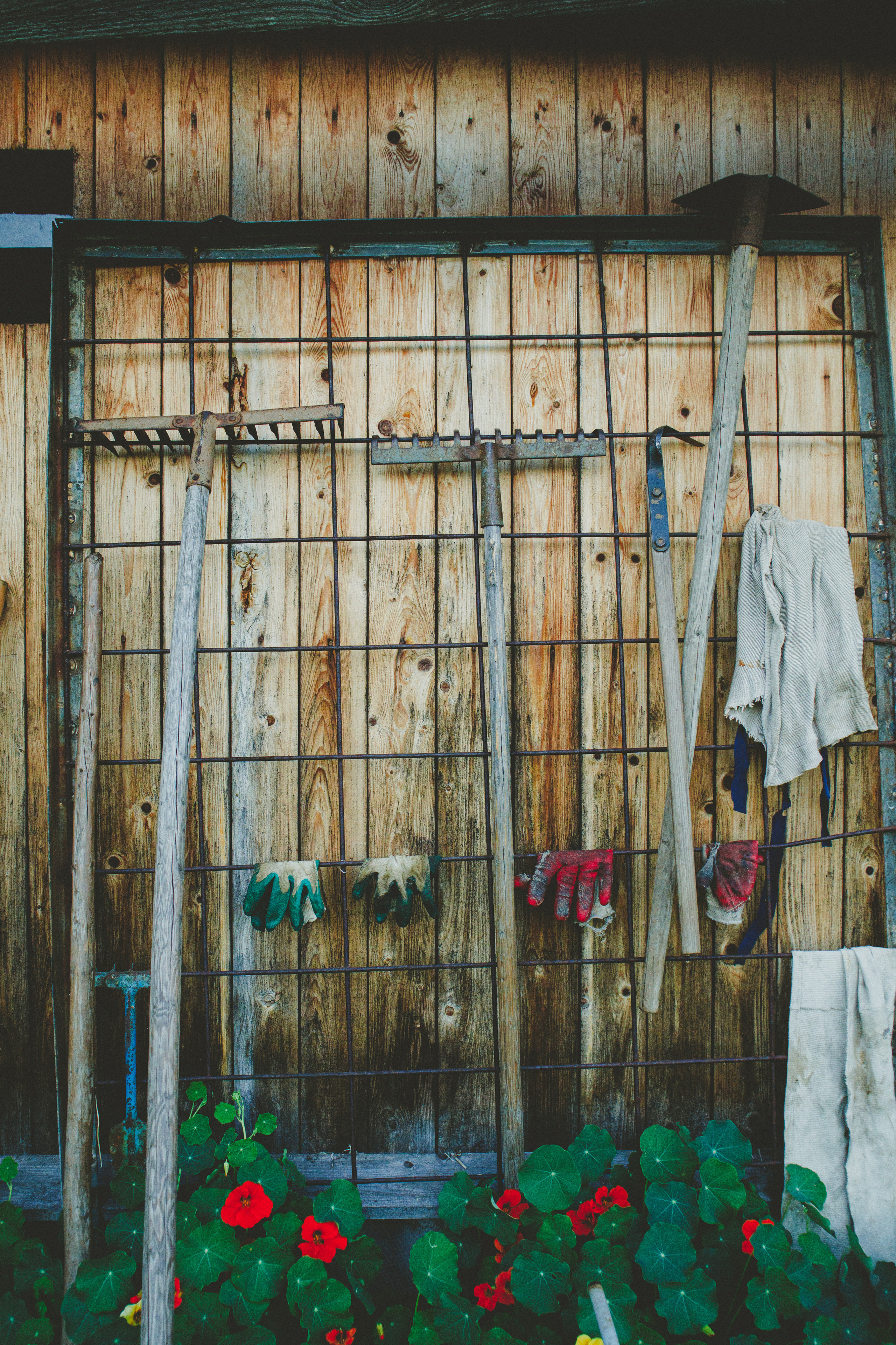 Countryside 2022. «Фотохроники»