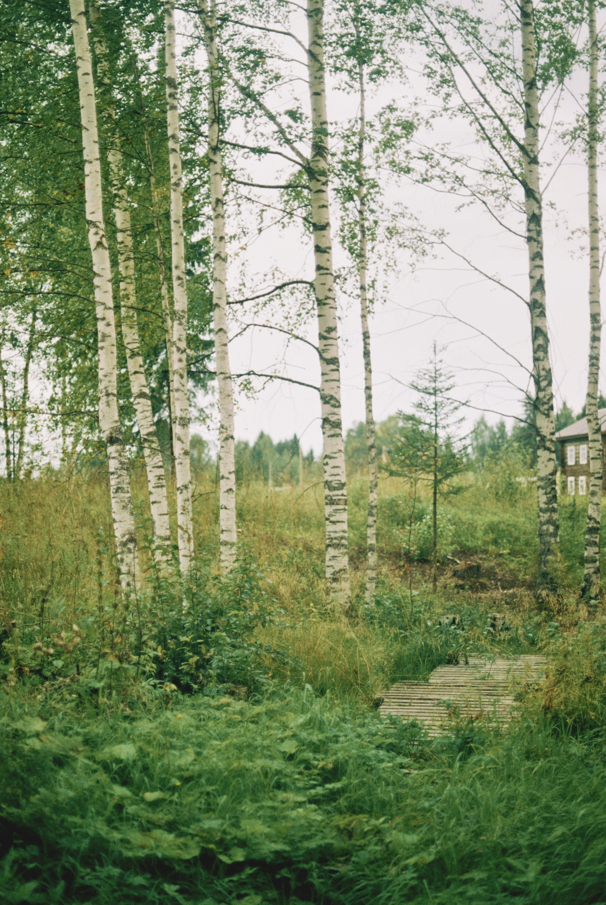 Countryside 2018. «Фотохроники»