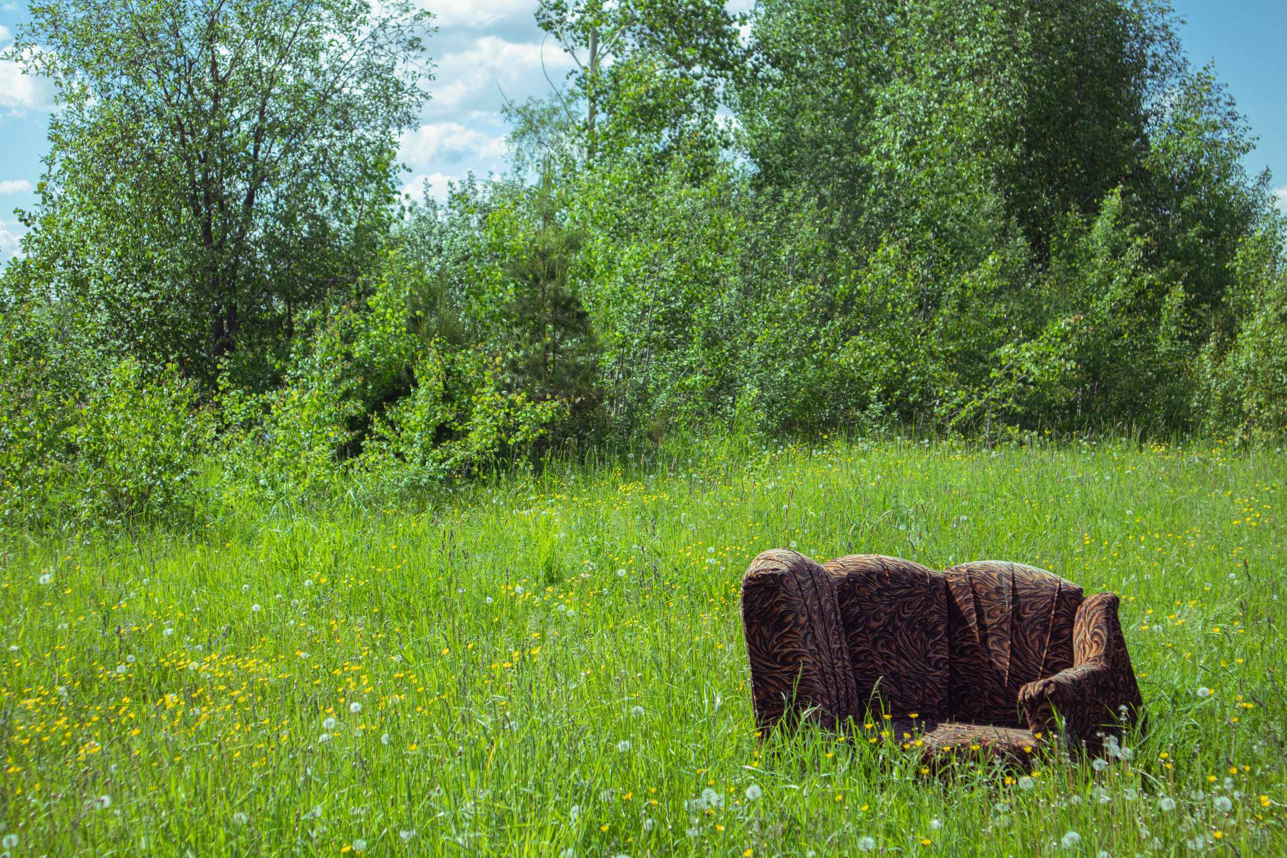 Countryside 2022. «Фотохроники»