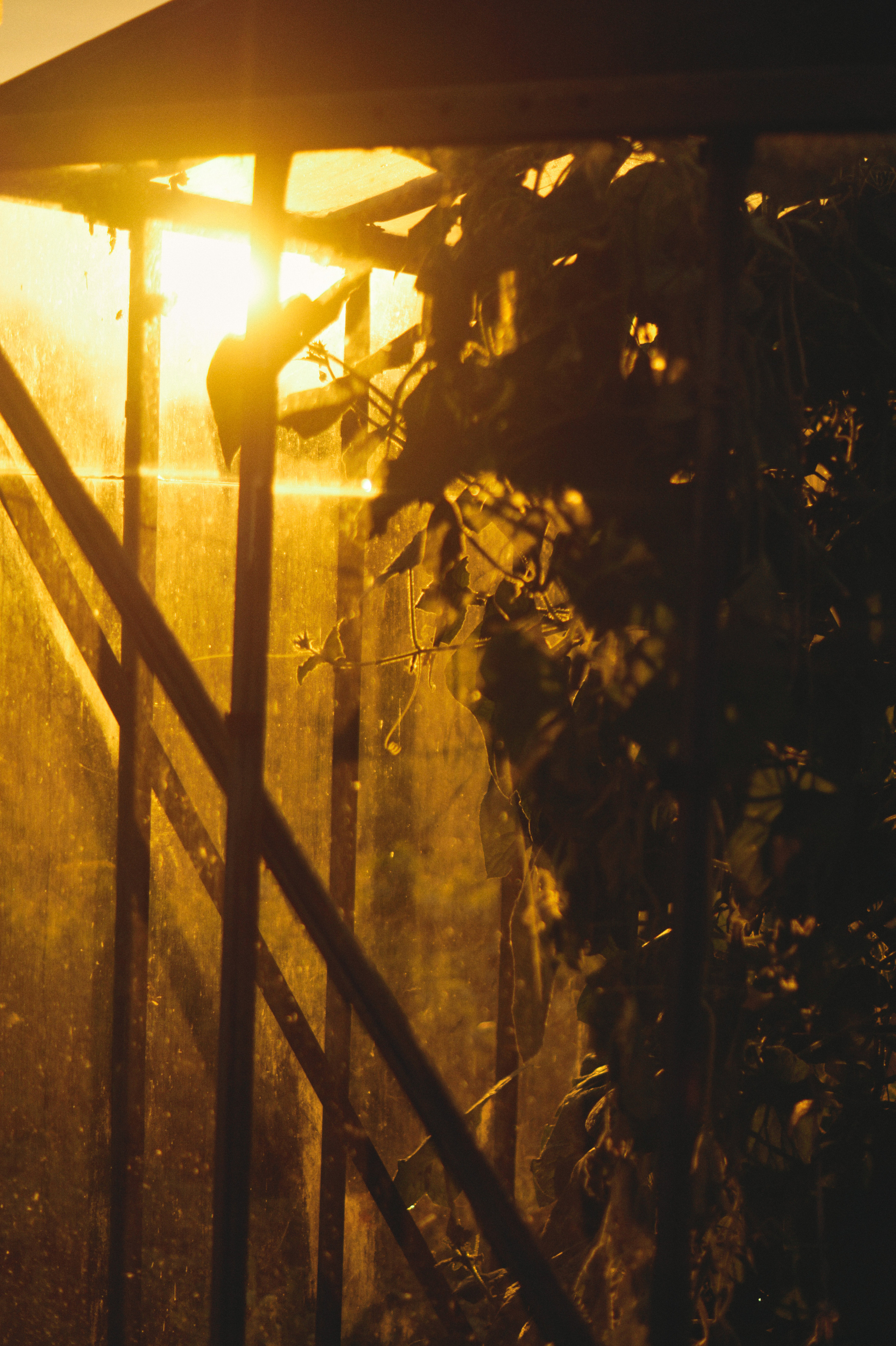 Countryside 2018. «Фотохроники»