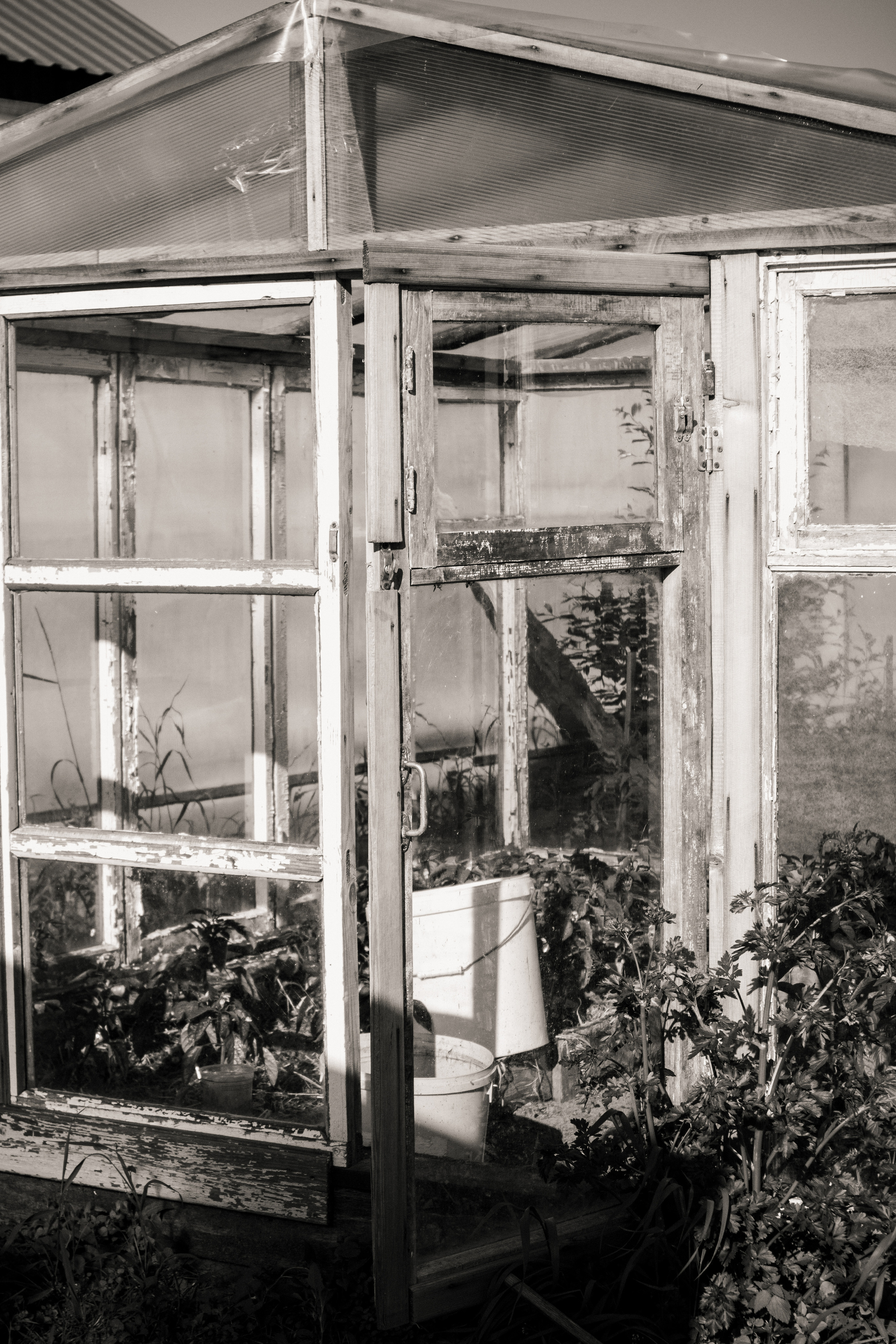 Countryside 2022. «Фотохроники»