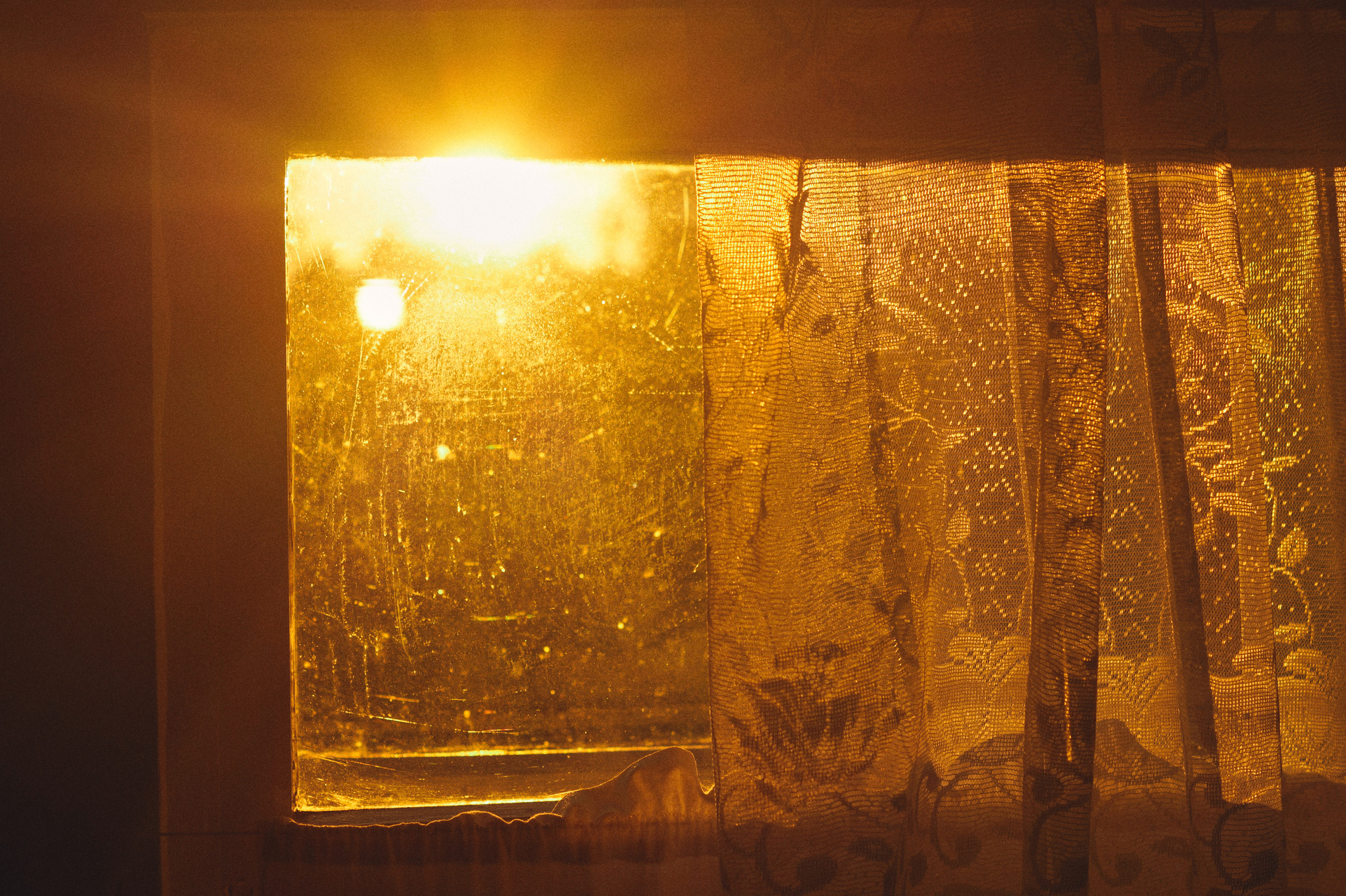 Countryside 2018. «Фотохроники»