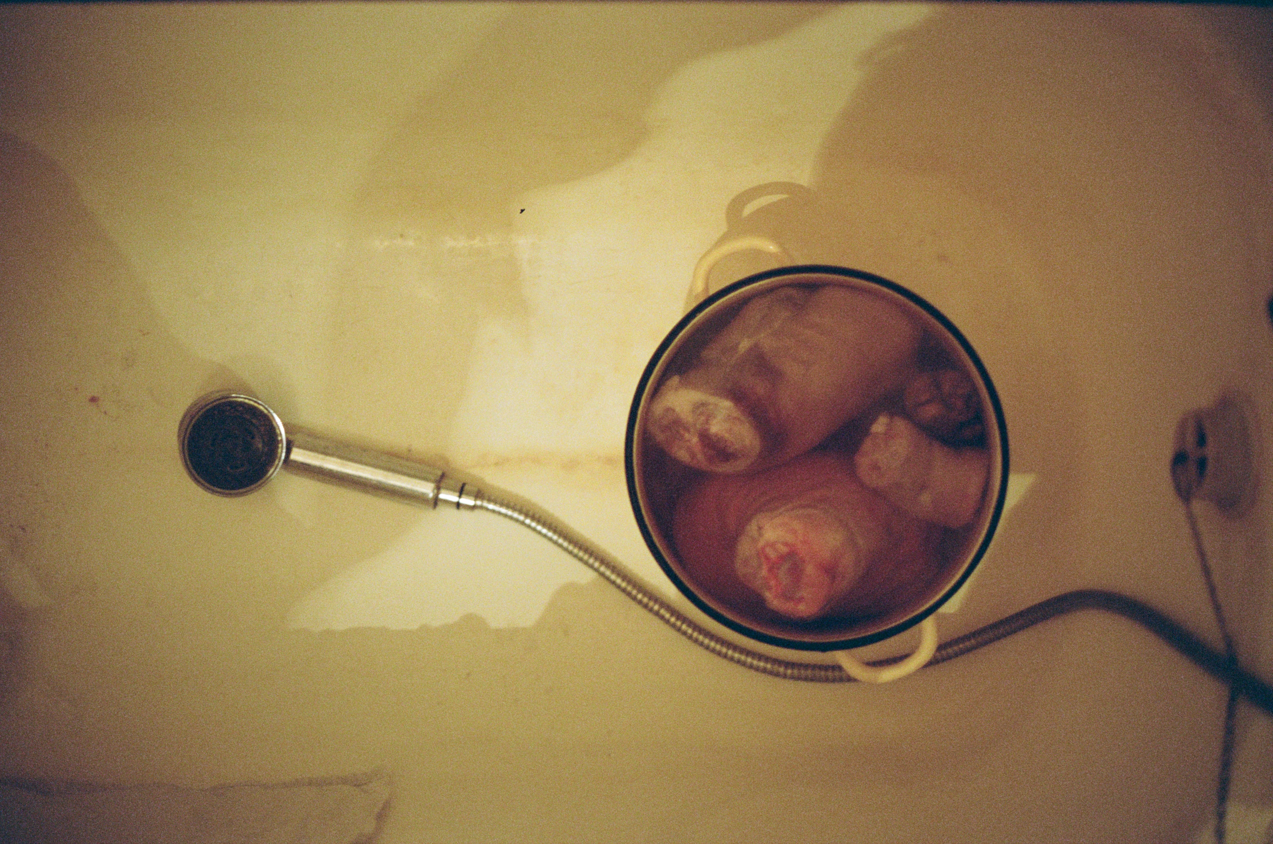 Still life. «Фотохроники»