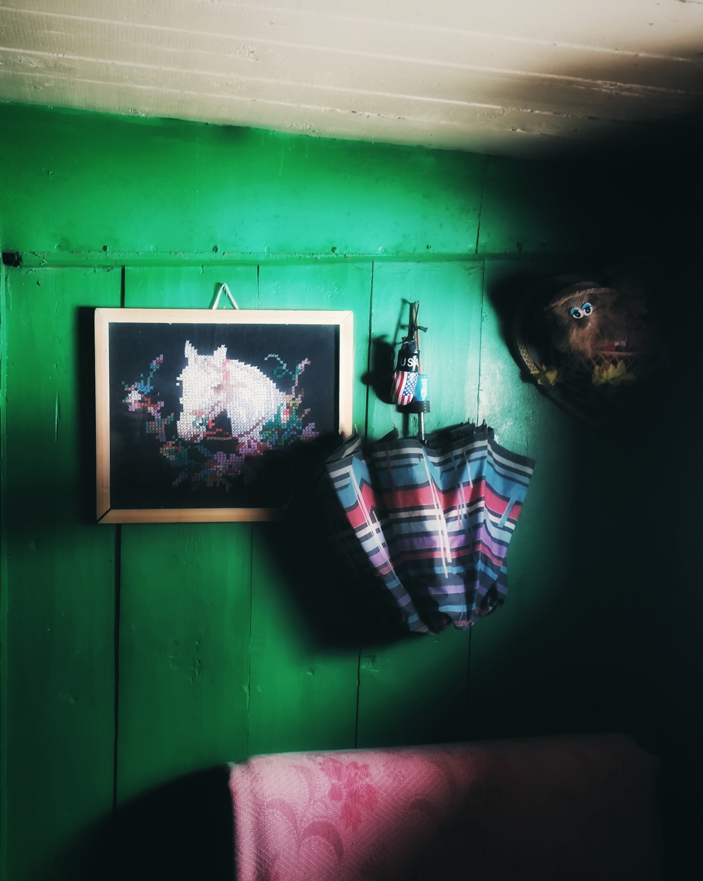 Countryside 2018. «Фотохроники»