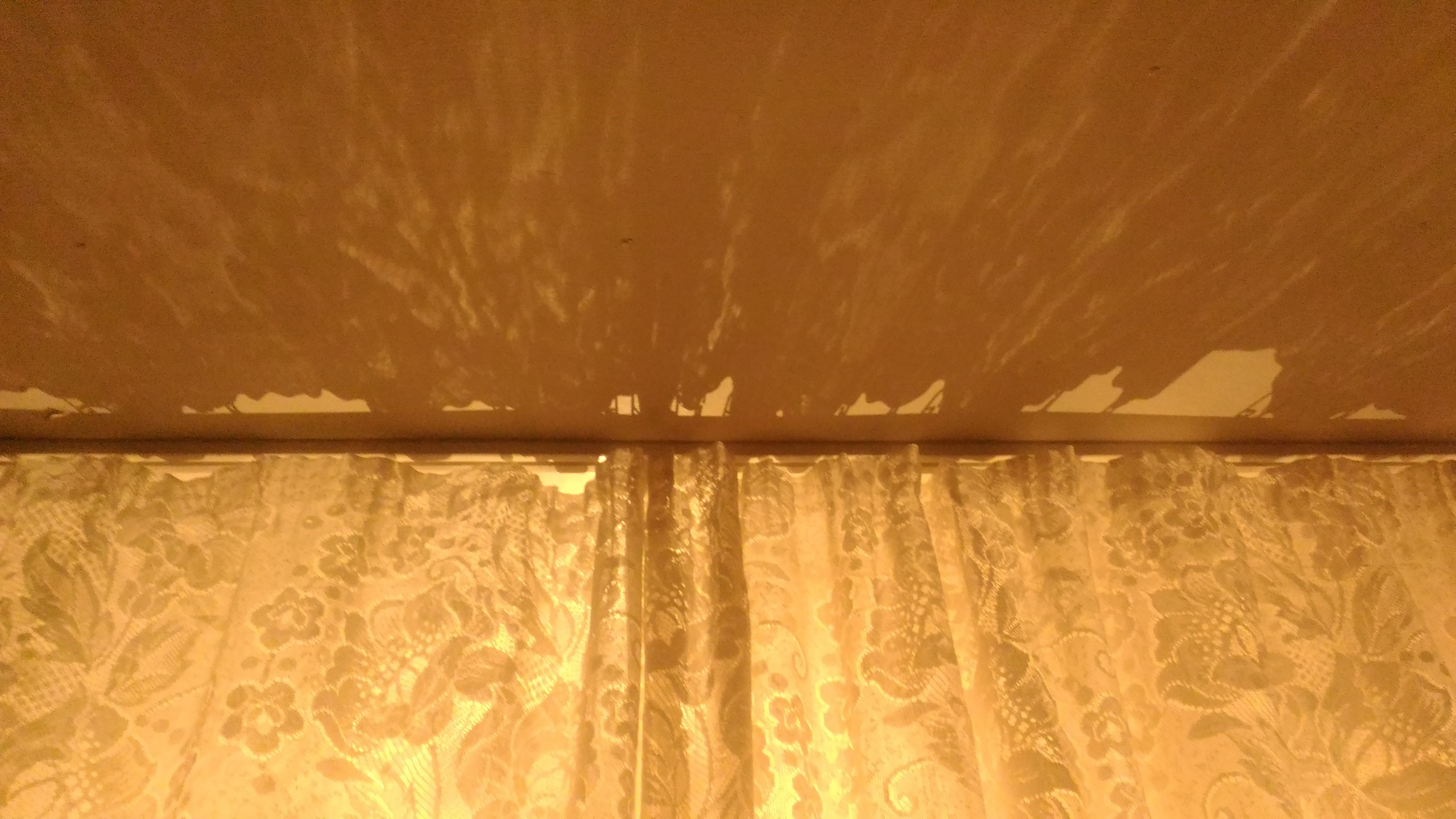 Countryside 2018. «Фотохроники»