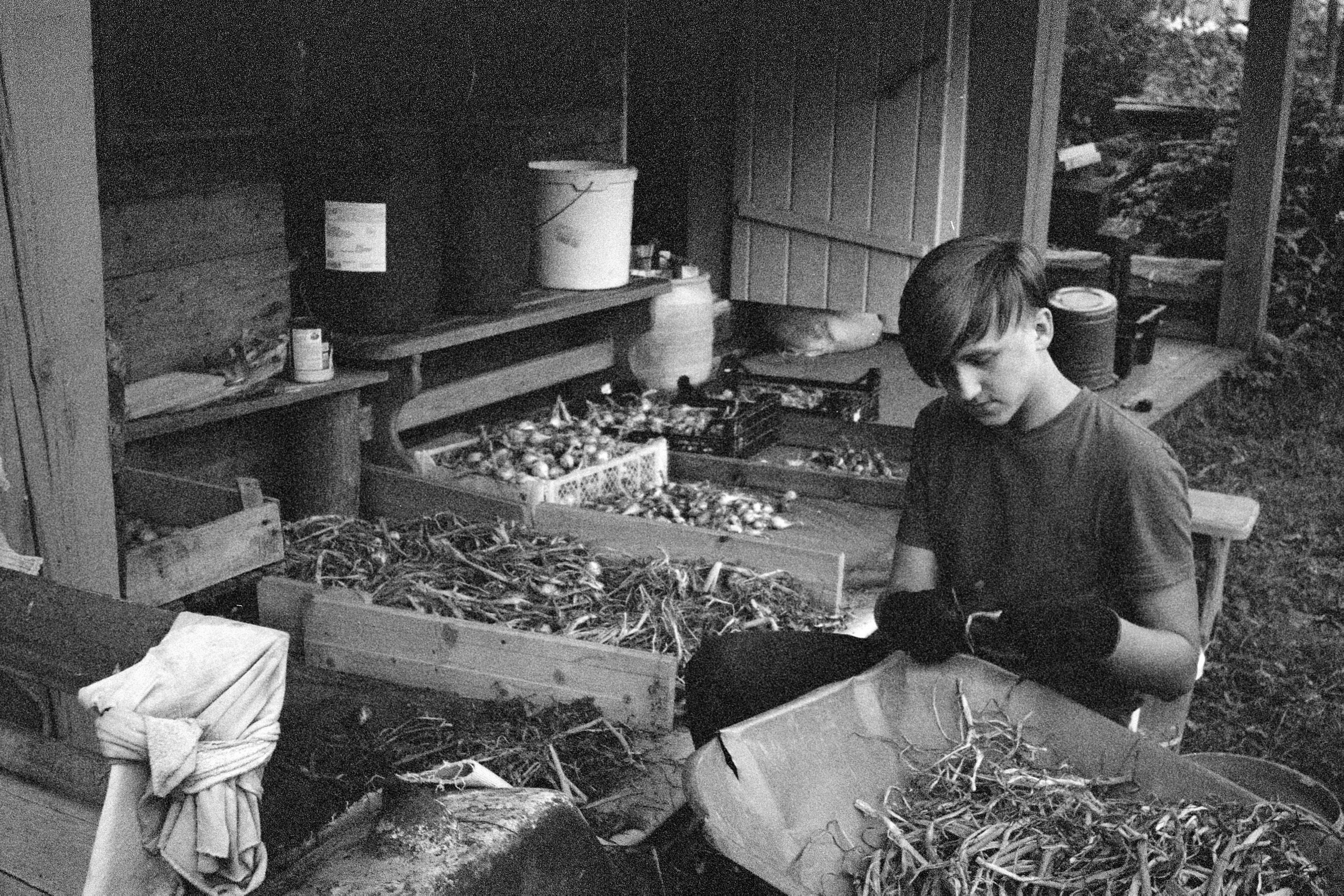 Countryside 2018. «Фотохроники»