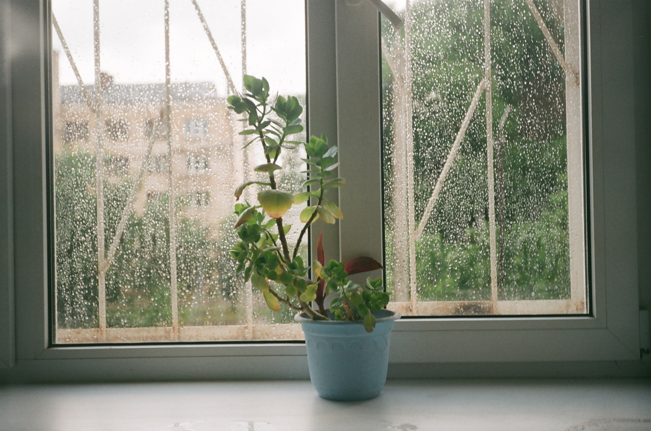 Общага 2019. «Фотохроники»