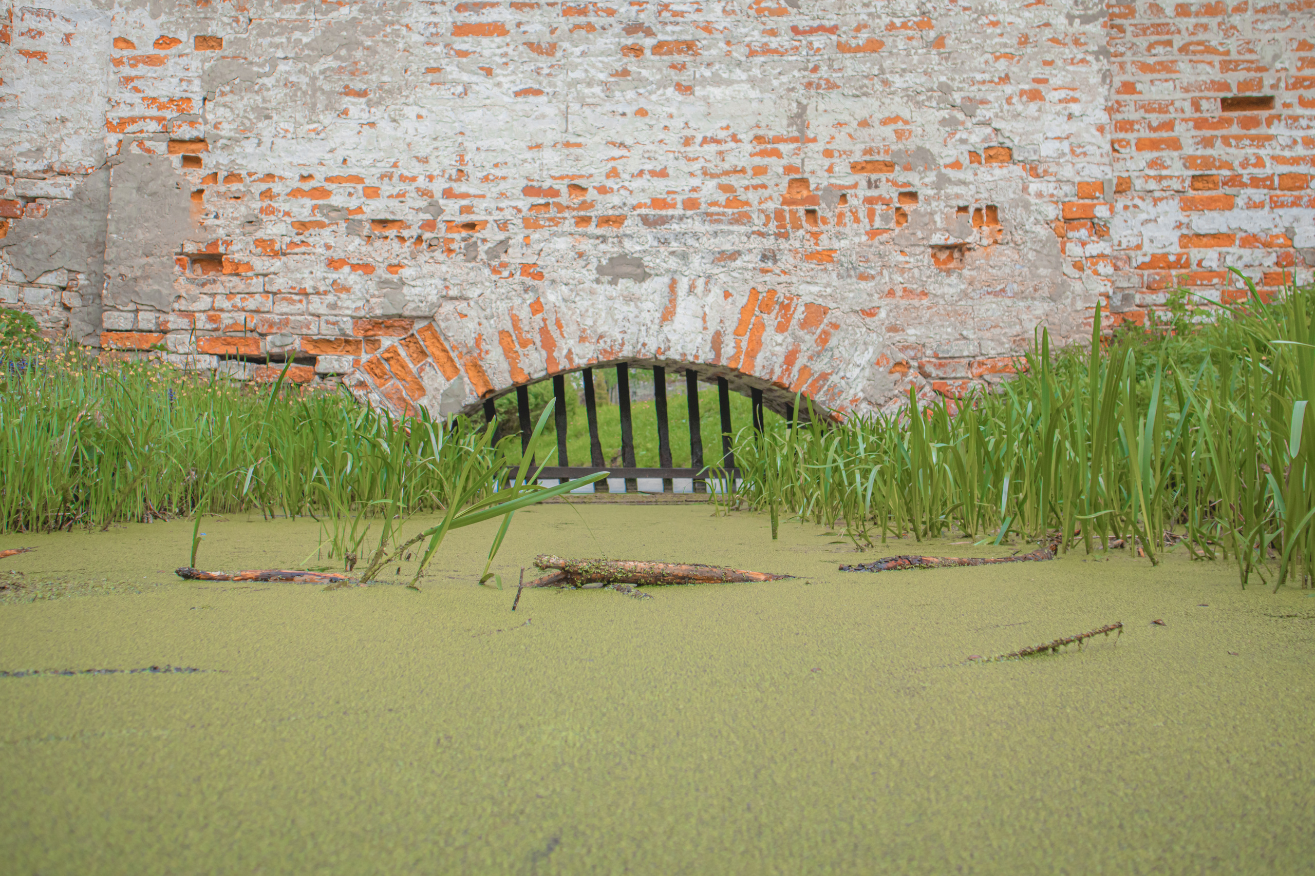 Кириллов.2023. «Фотохроники»