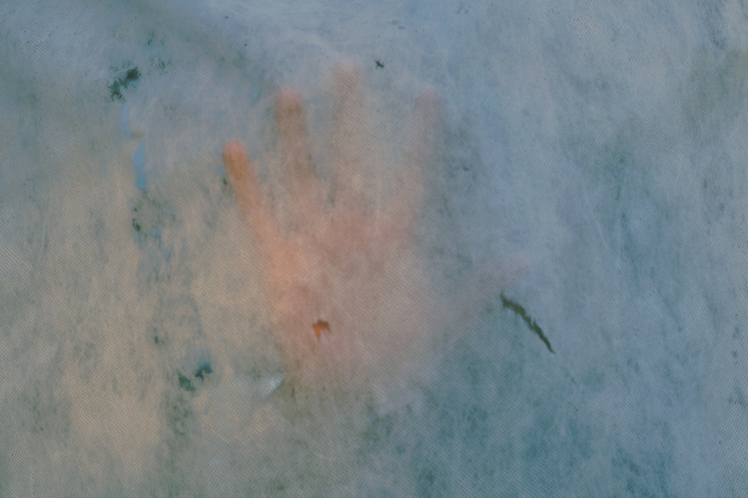 Countryside 2018. «Фотохроники»