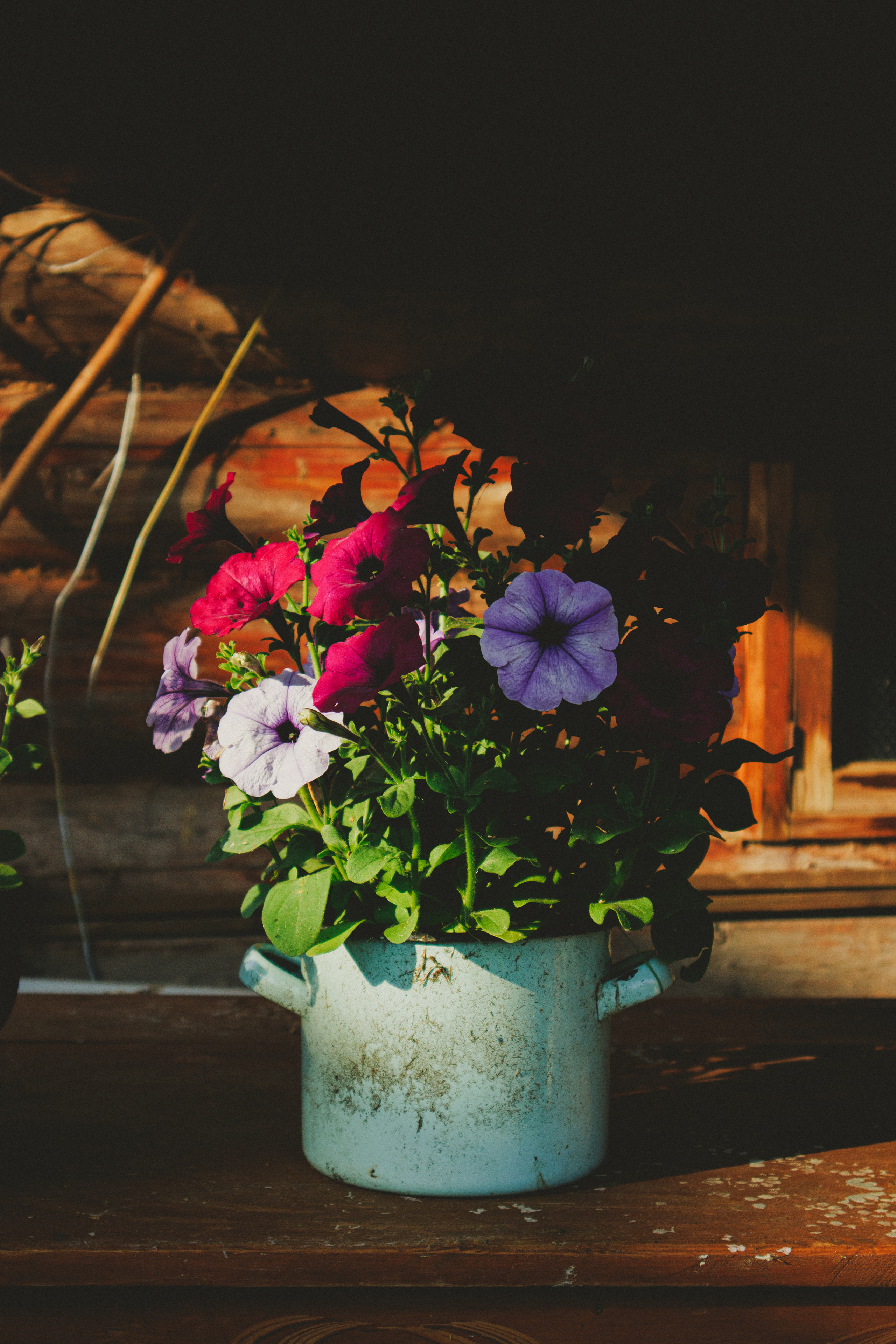 Countryside 2022. «Фотохроники»