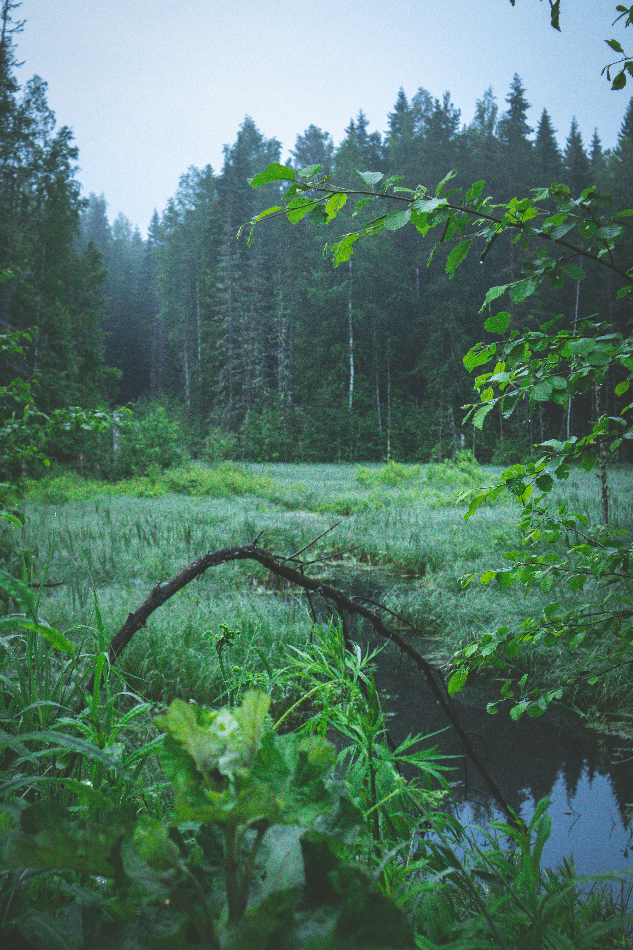 Countryside 2022. «Фотохроники»